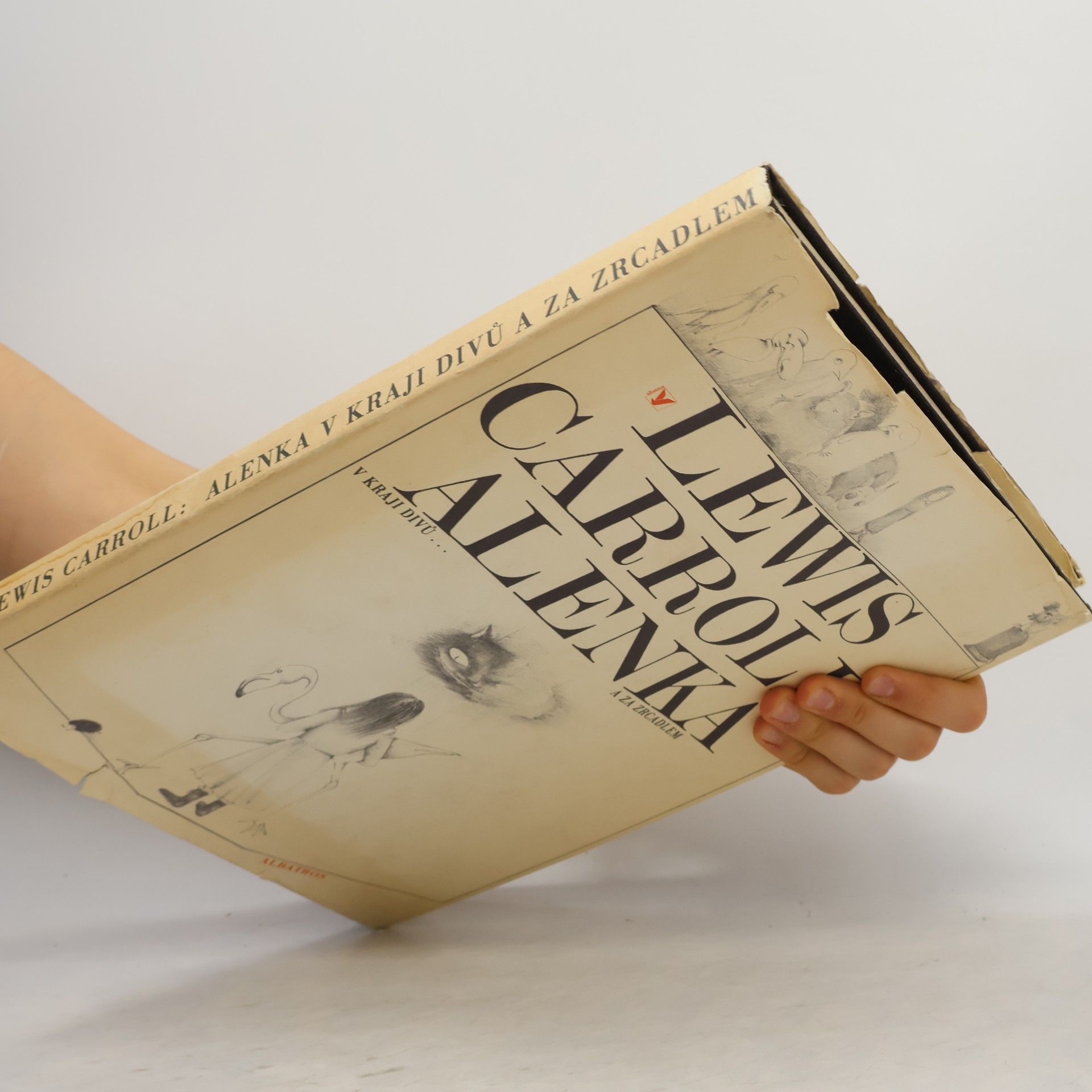 Lewis Carroll Alenka v kraji divů a za zrcadlem