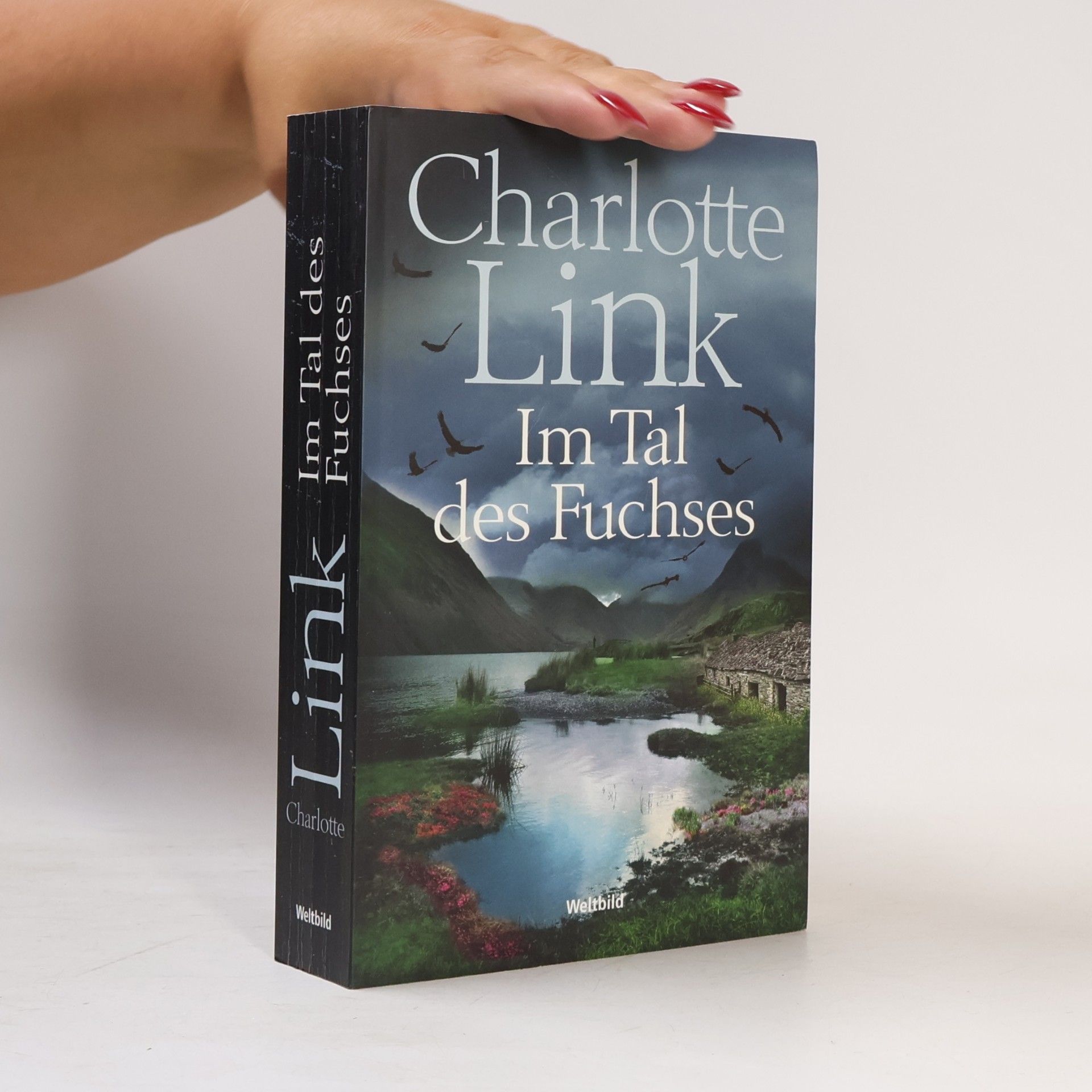 Charlotte Link Im Tal des Fuchses
