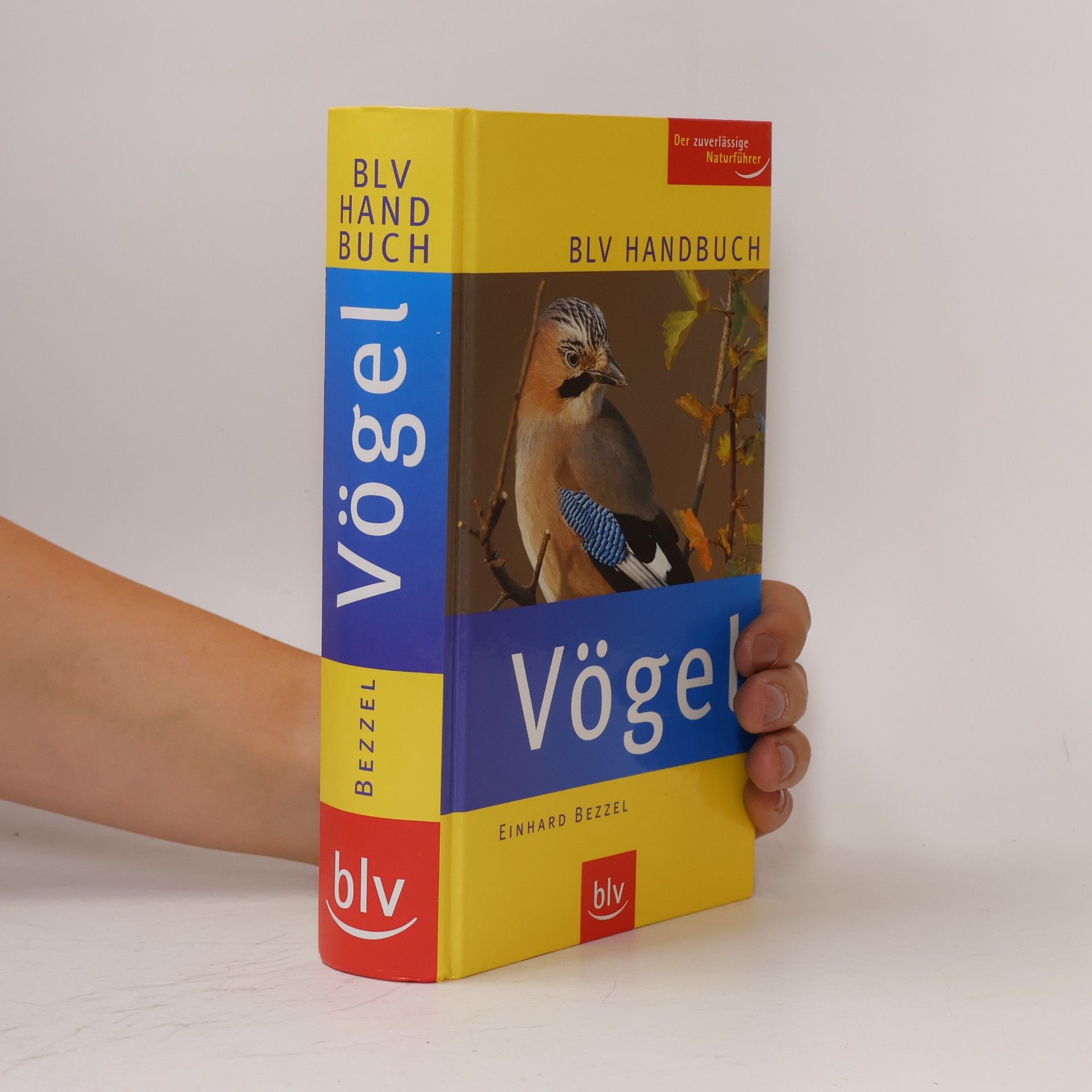 Einhard Bezzel BLV-Handbuch Vögel
