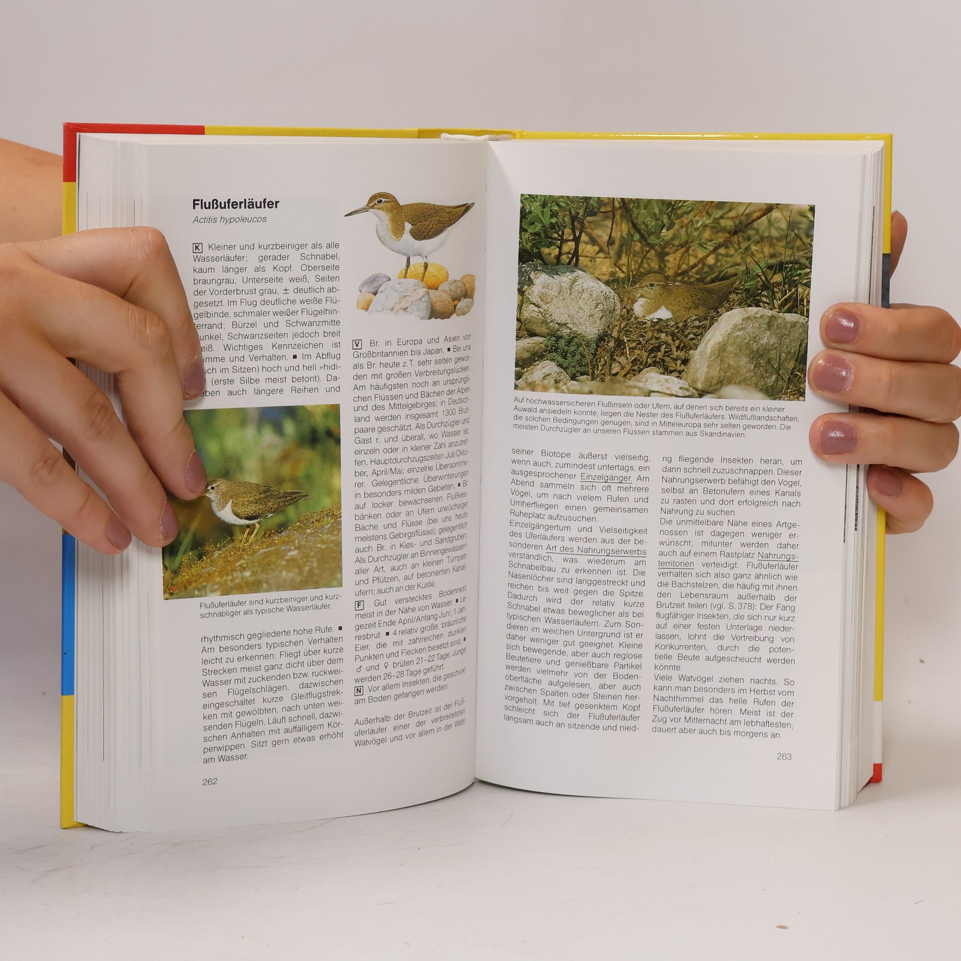Einhard Bezzel BLV-Handbuch Vögel