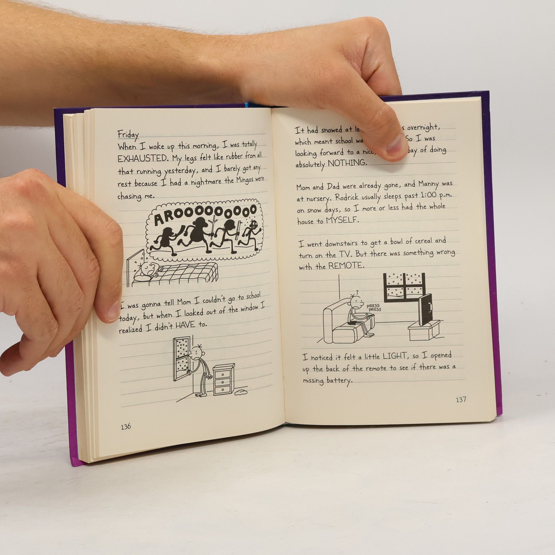 Jeff Kinney Diary of a Wimpy Kid. The meltdown