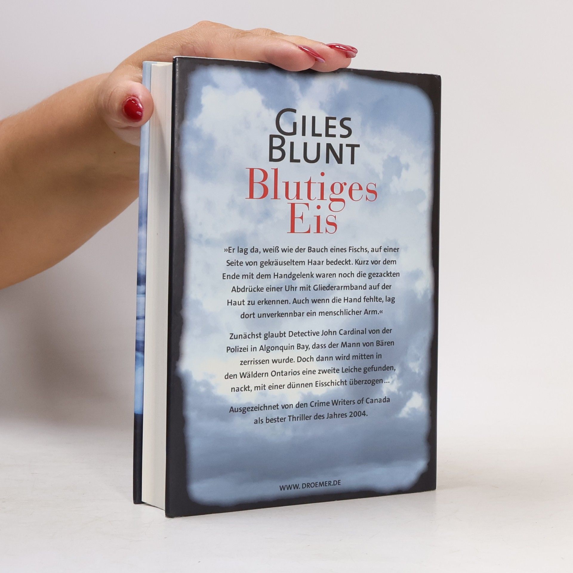 Giles Blunt Blutiges Eis