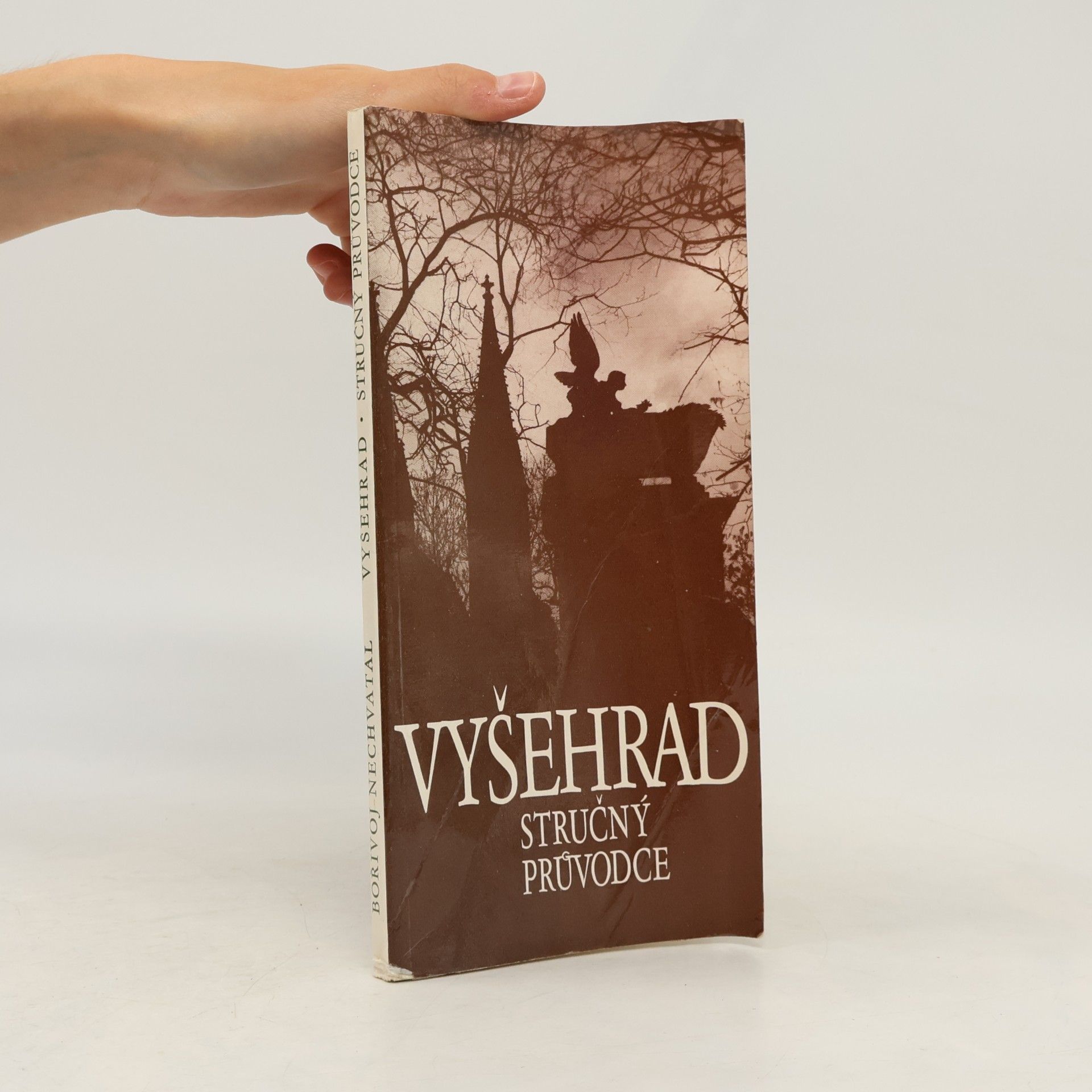 Borivoj Nechvatal Vyšehrad. Stručný průvodce