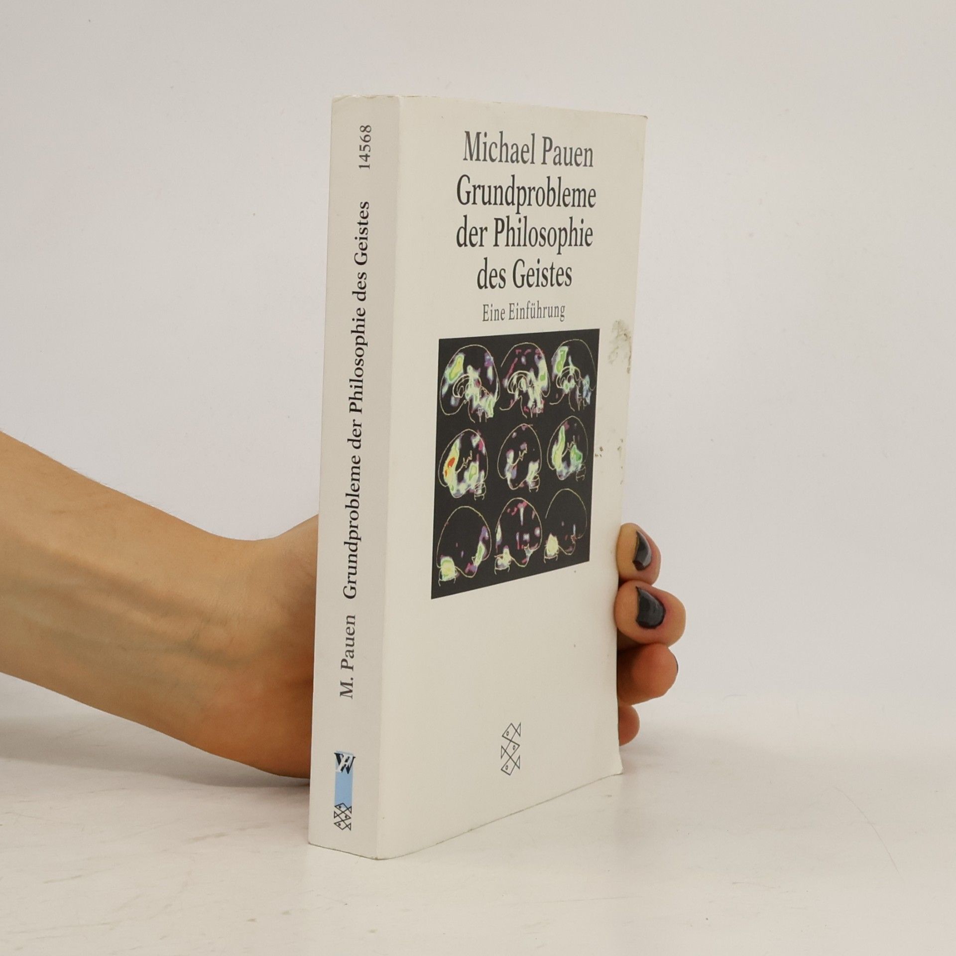 Michael Pauen Grundprobleme der Philosophie des Geistes