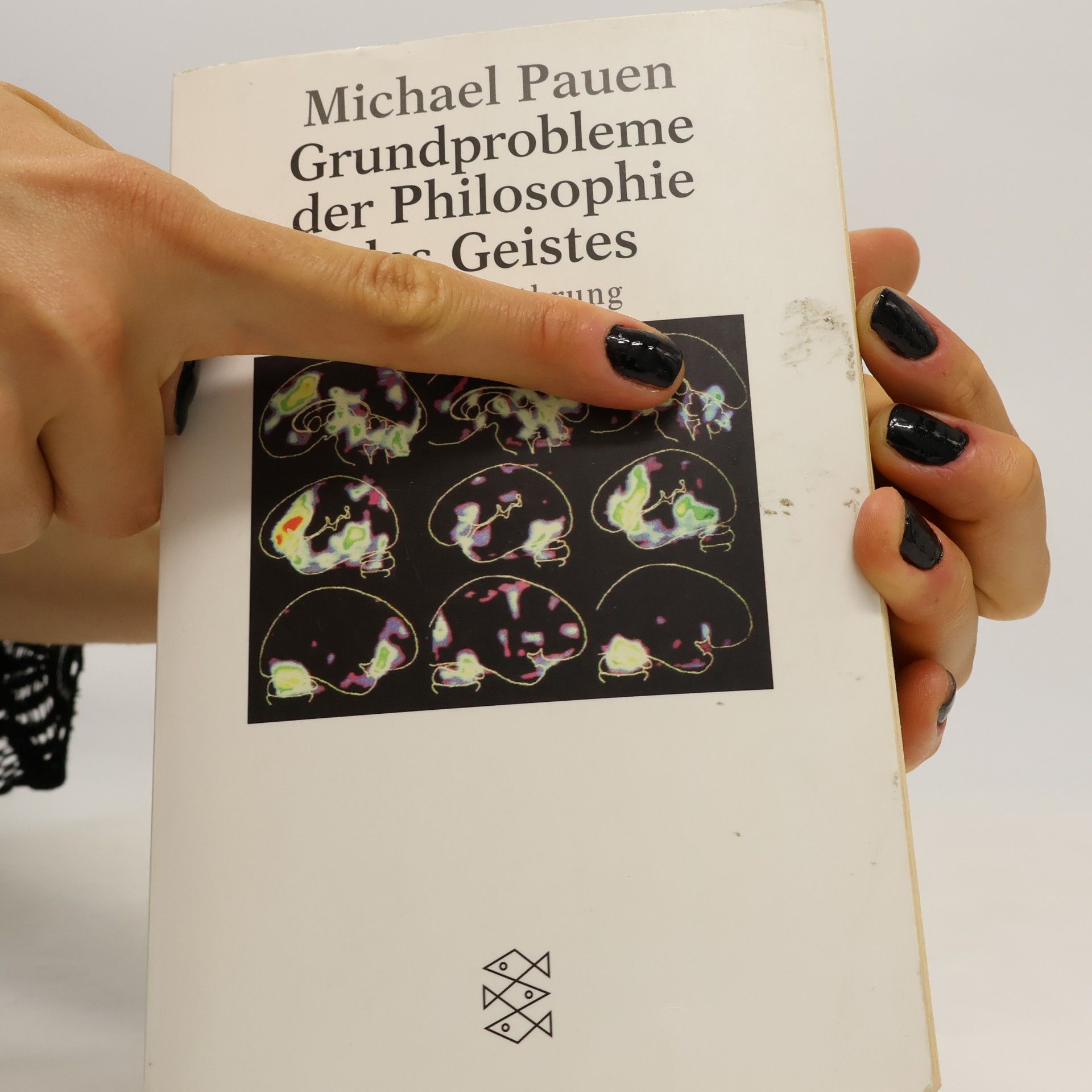 Michael Pauen Grundprobleme der Philosophie des Geistes