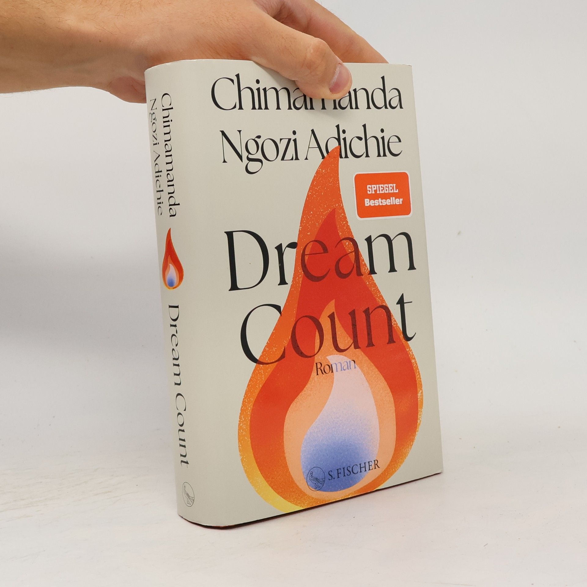 Chimamanda Ngozi Adichie Dream Count
