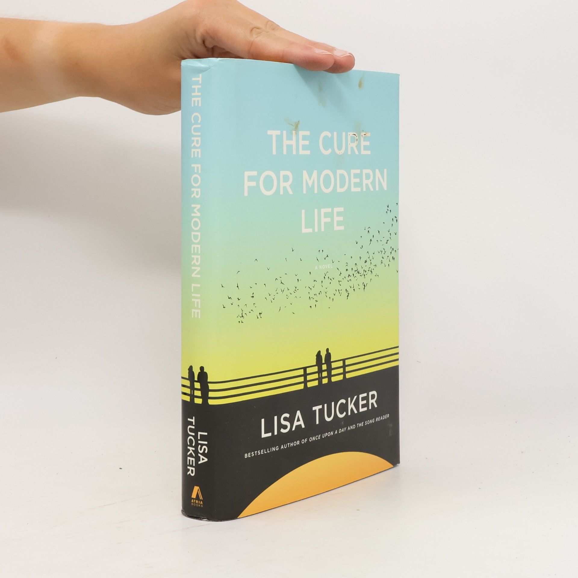 Lisa Tucker The Cure for Modern Life
