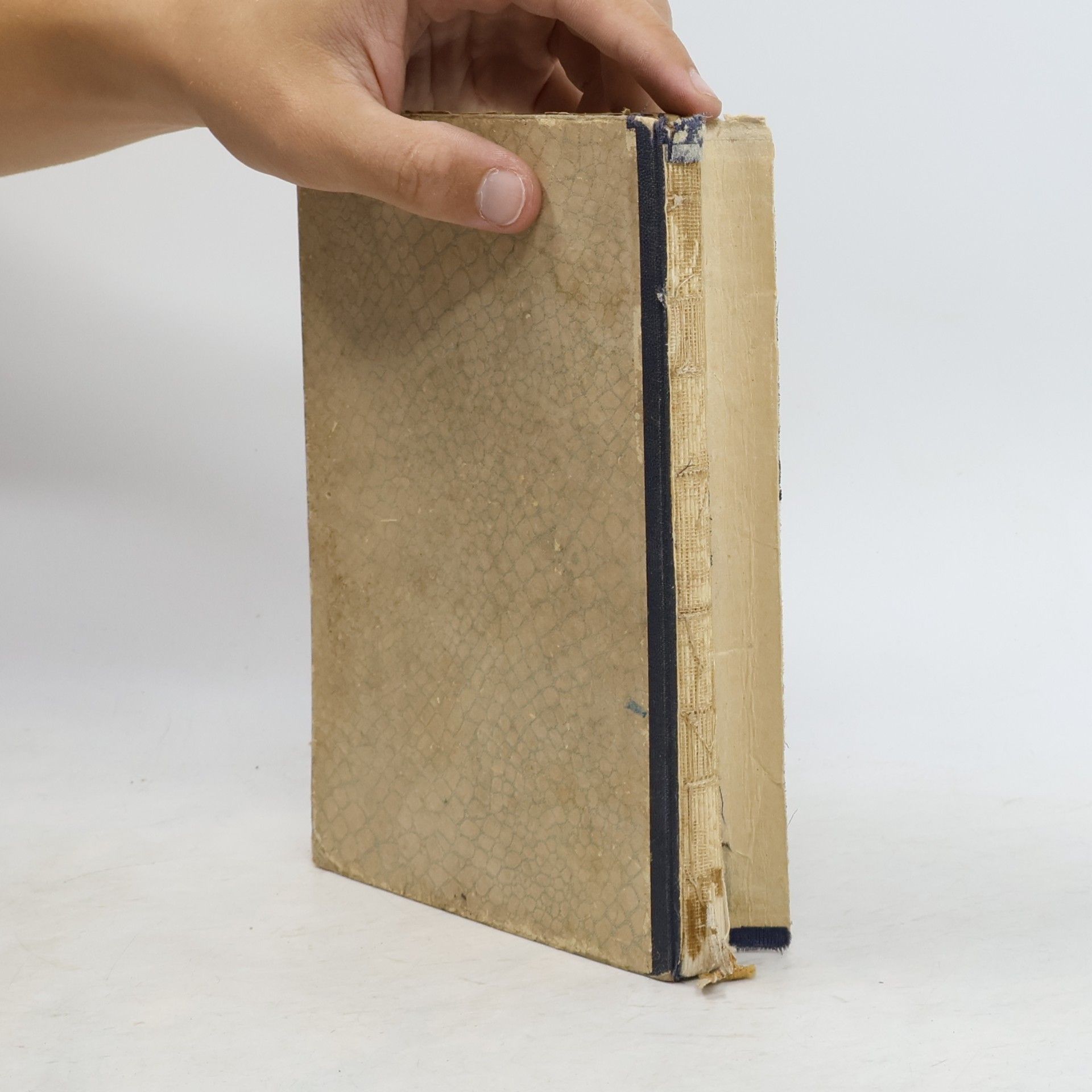 Jozef Puterák Statočný plavčík