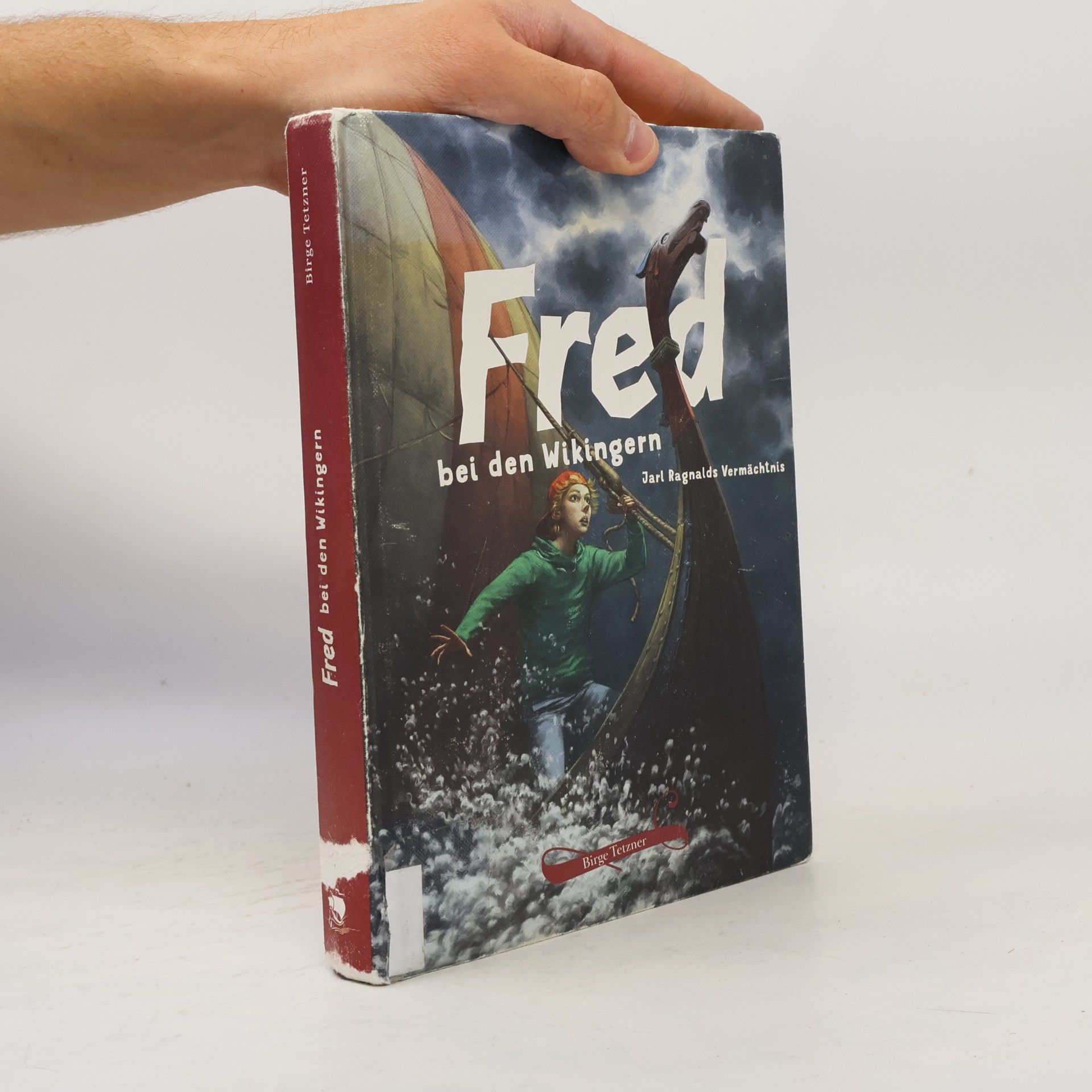 Birge Tetzner Fred bei den Wikingern