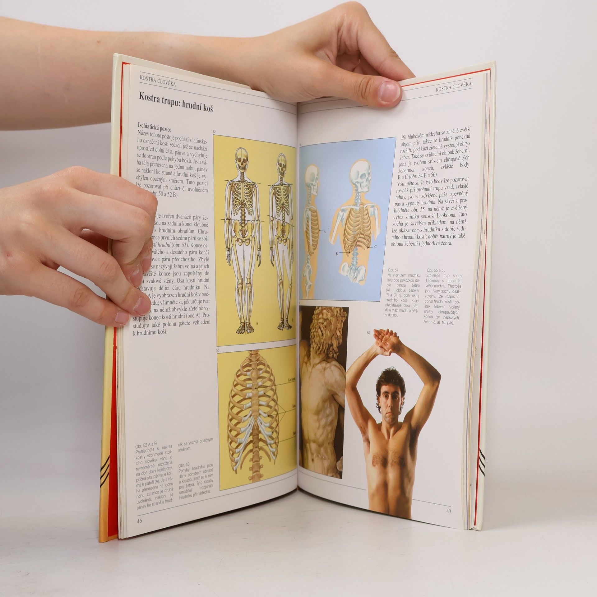 José María Parramón Anatomie člověka