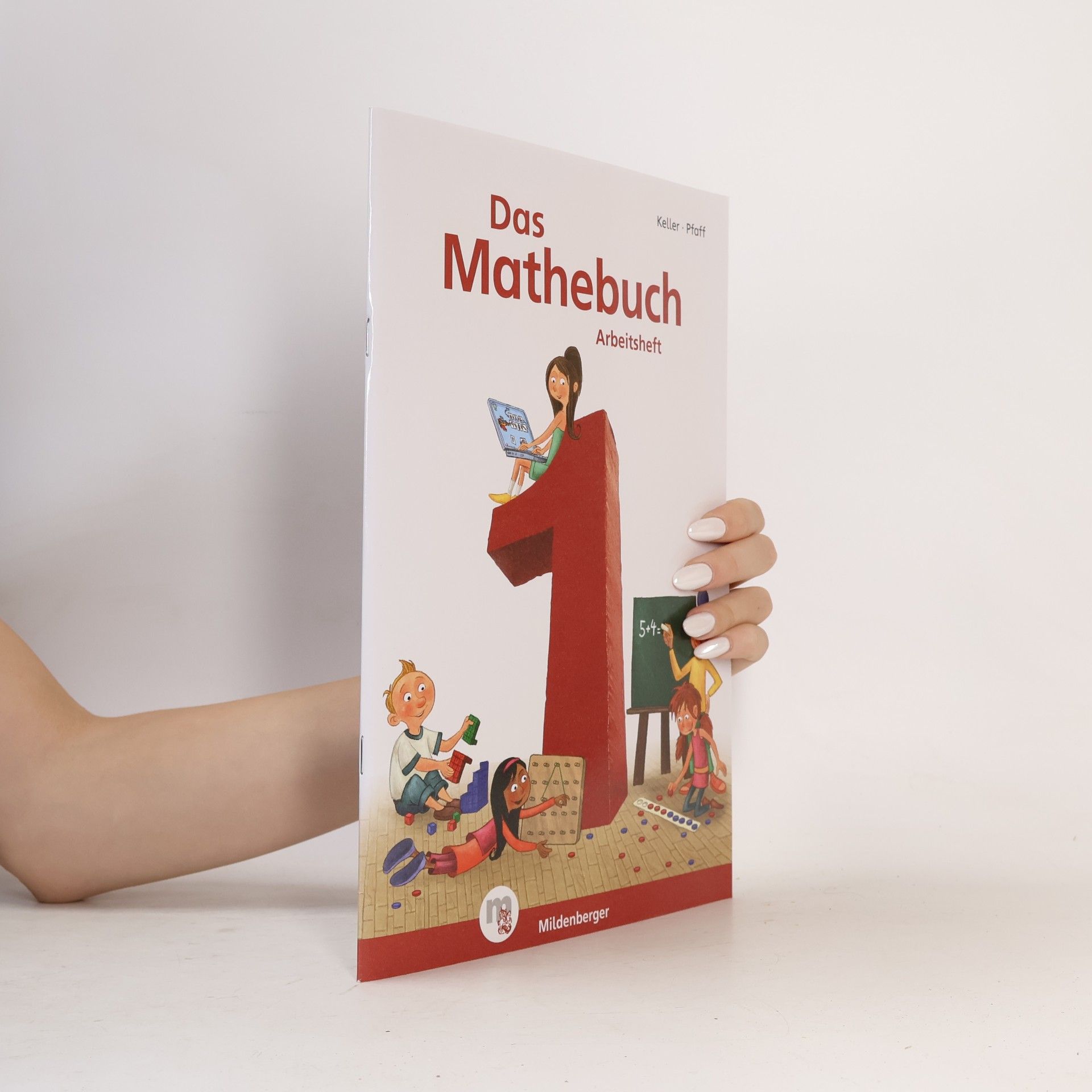 Pfaff Das Mathebuch - Neubearbeitung
