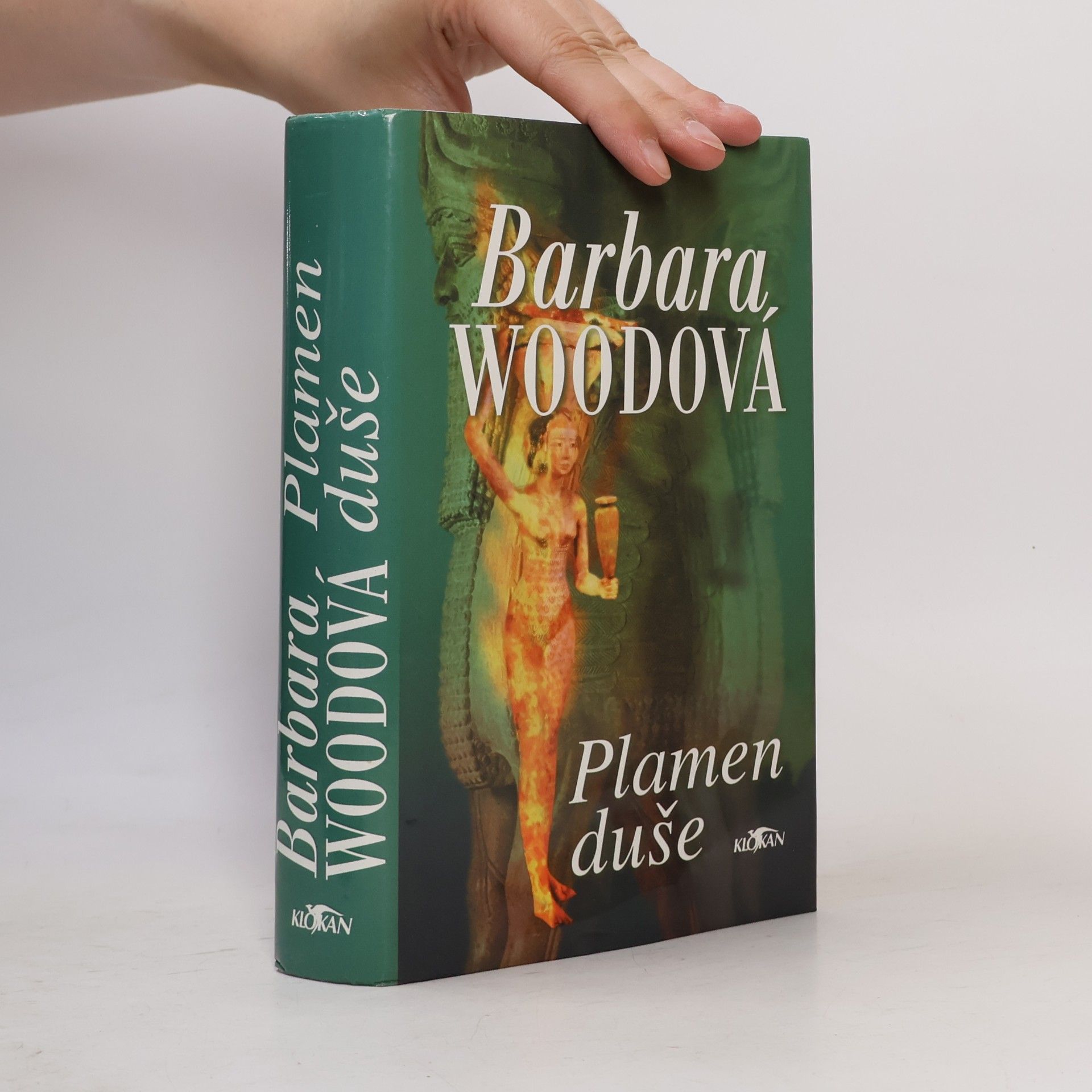 Barbara Wood Plamen duše