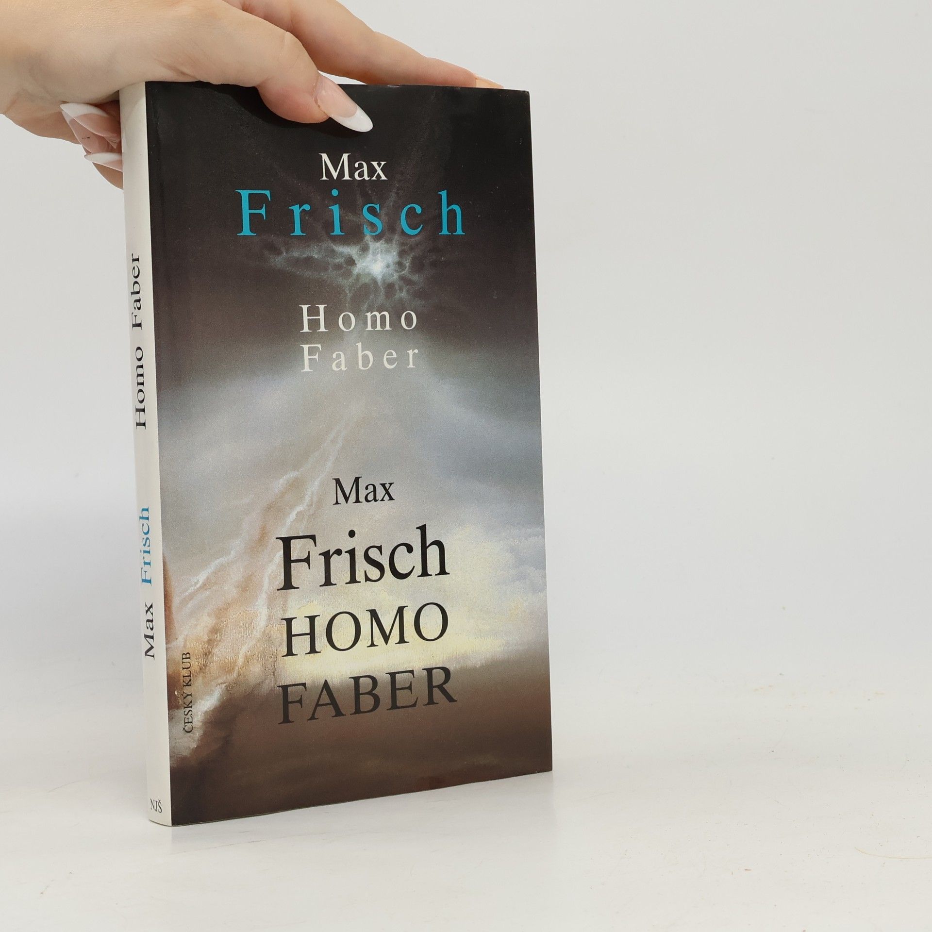 Max Frisch Homo Faber
