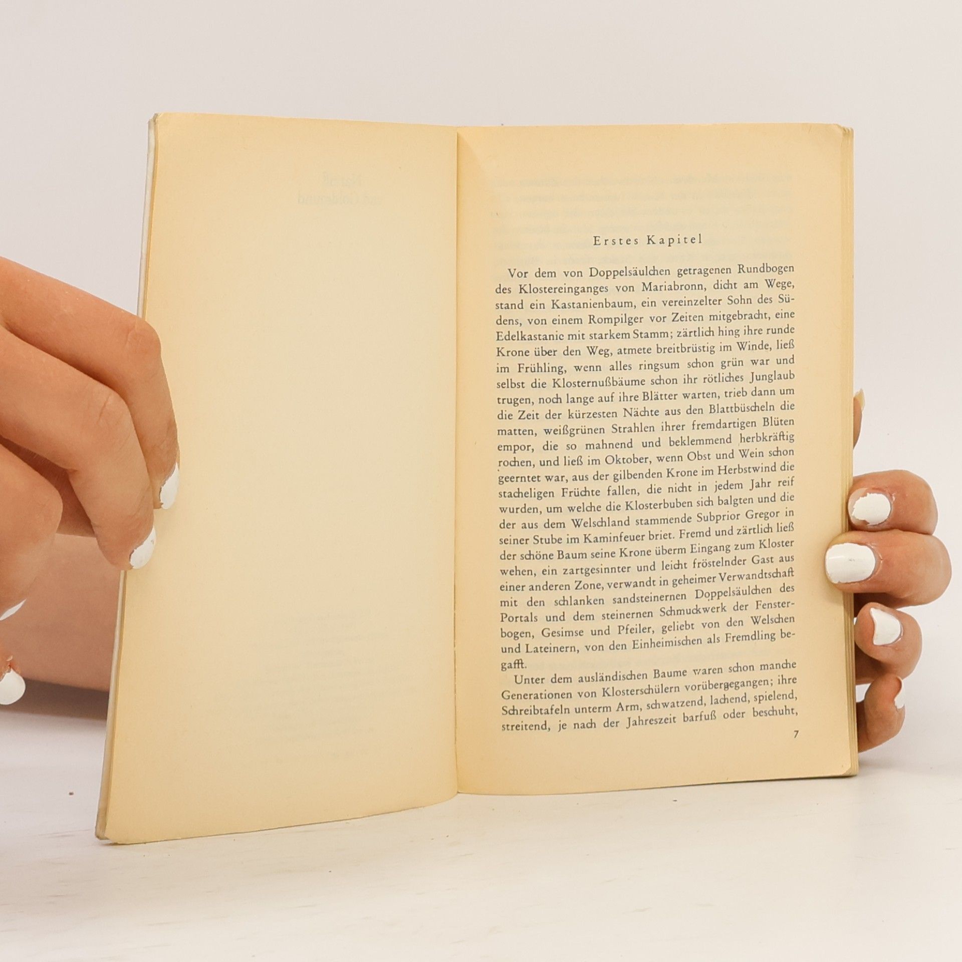 Hermann Hesse Narziß und Goldmund