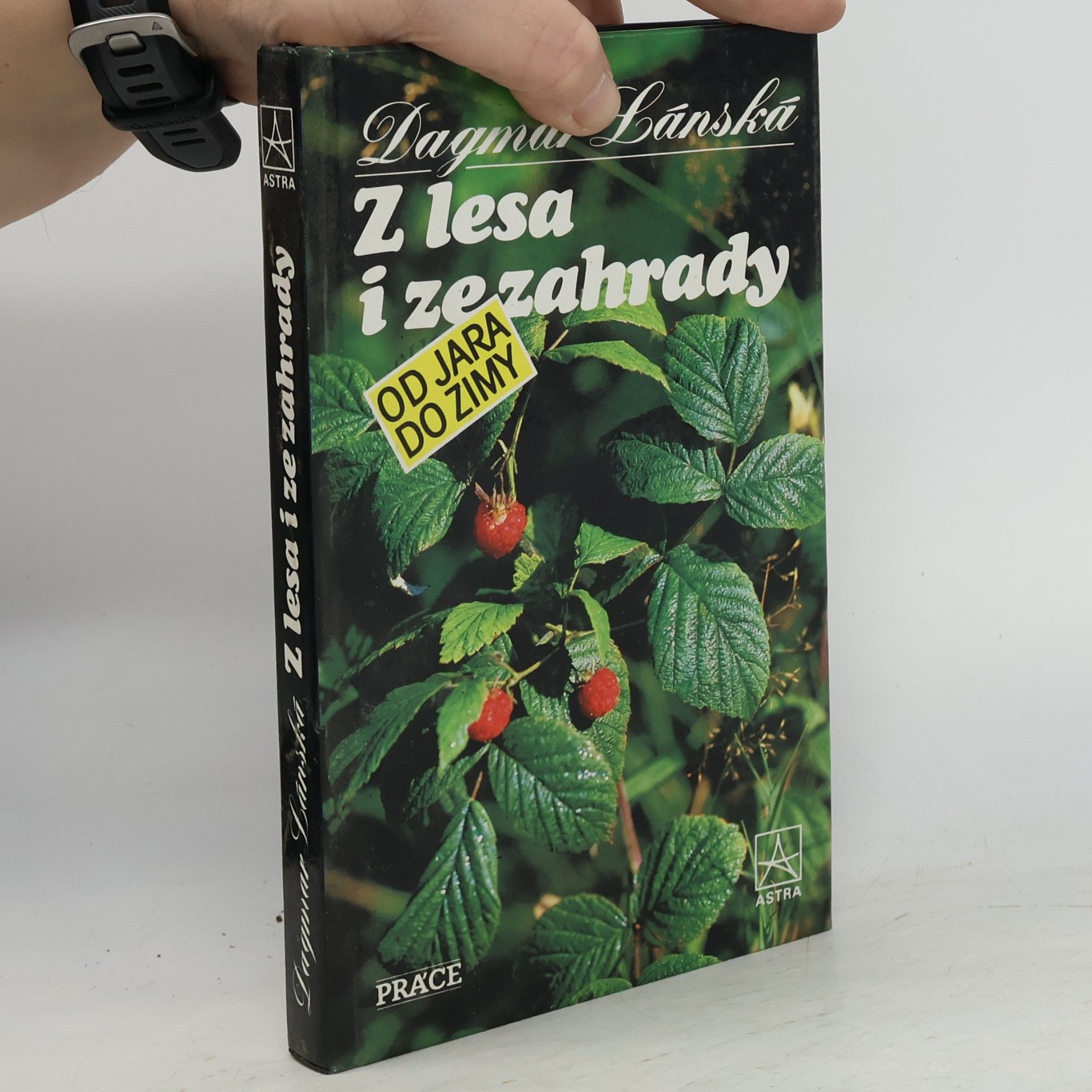 Dagmar Lánská Z lesa i ze zahrady od jara do zimy