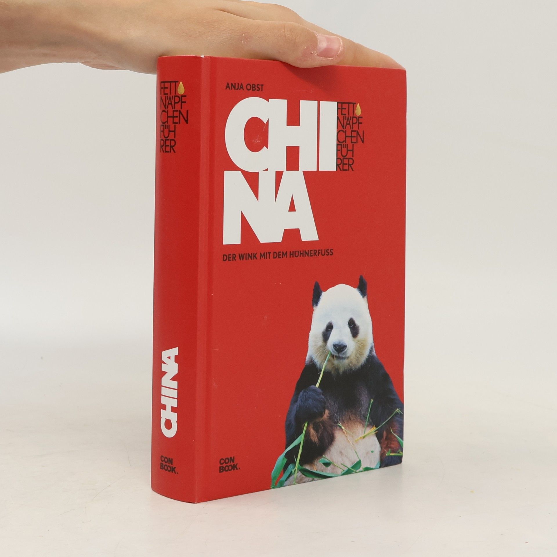 Anja Obst Fettnäpfchenführer: China