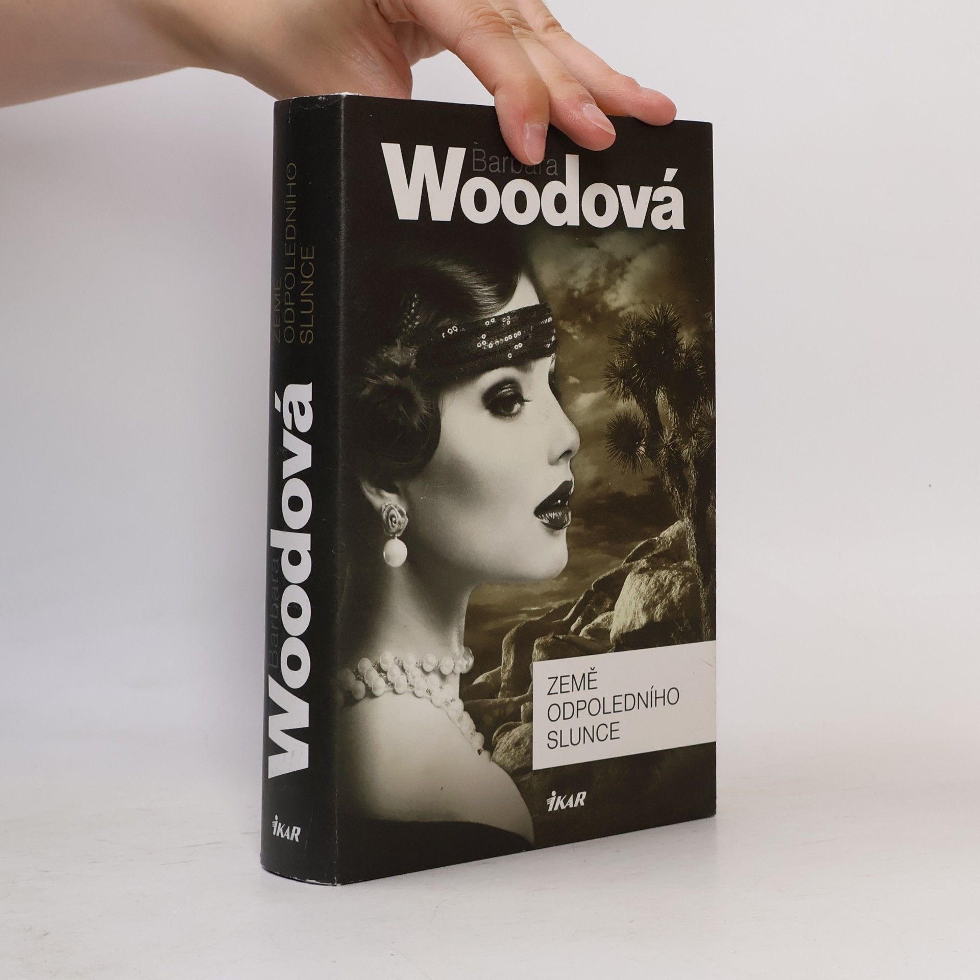Barbara Wood Země odpoledního slunce