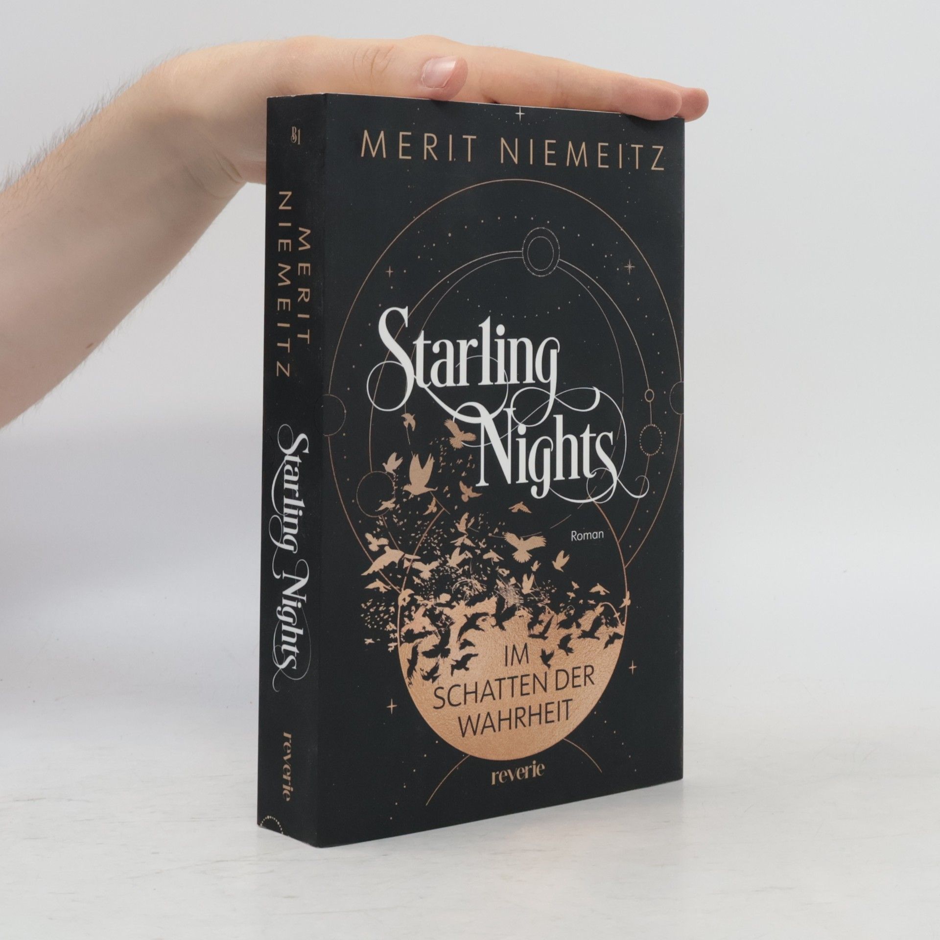 Merit Niemeitz Starling Nights 1