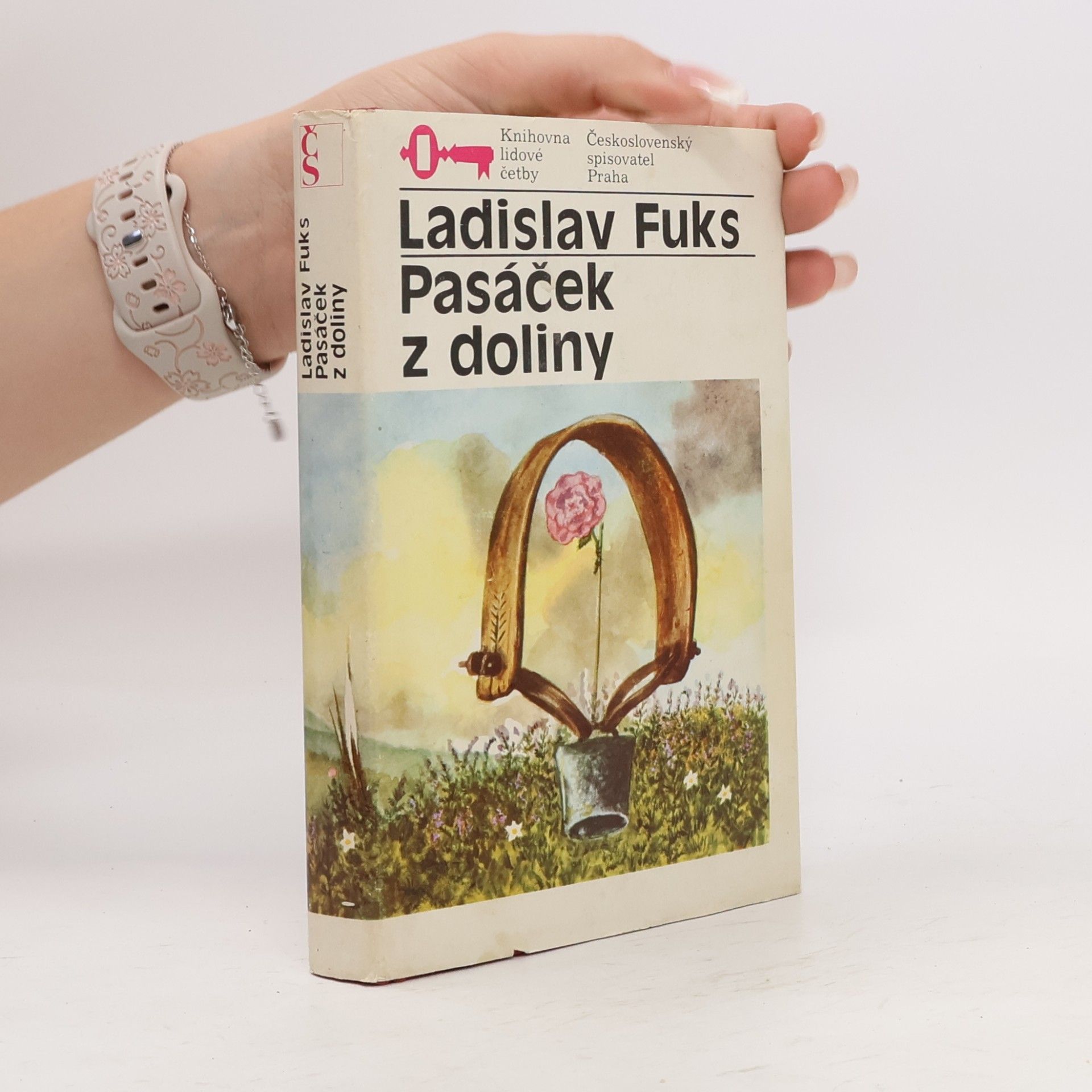 Pasáček z doliny
