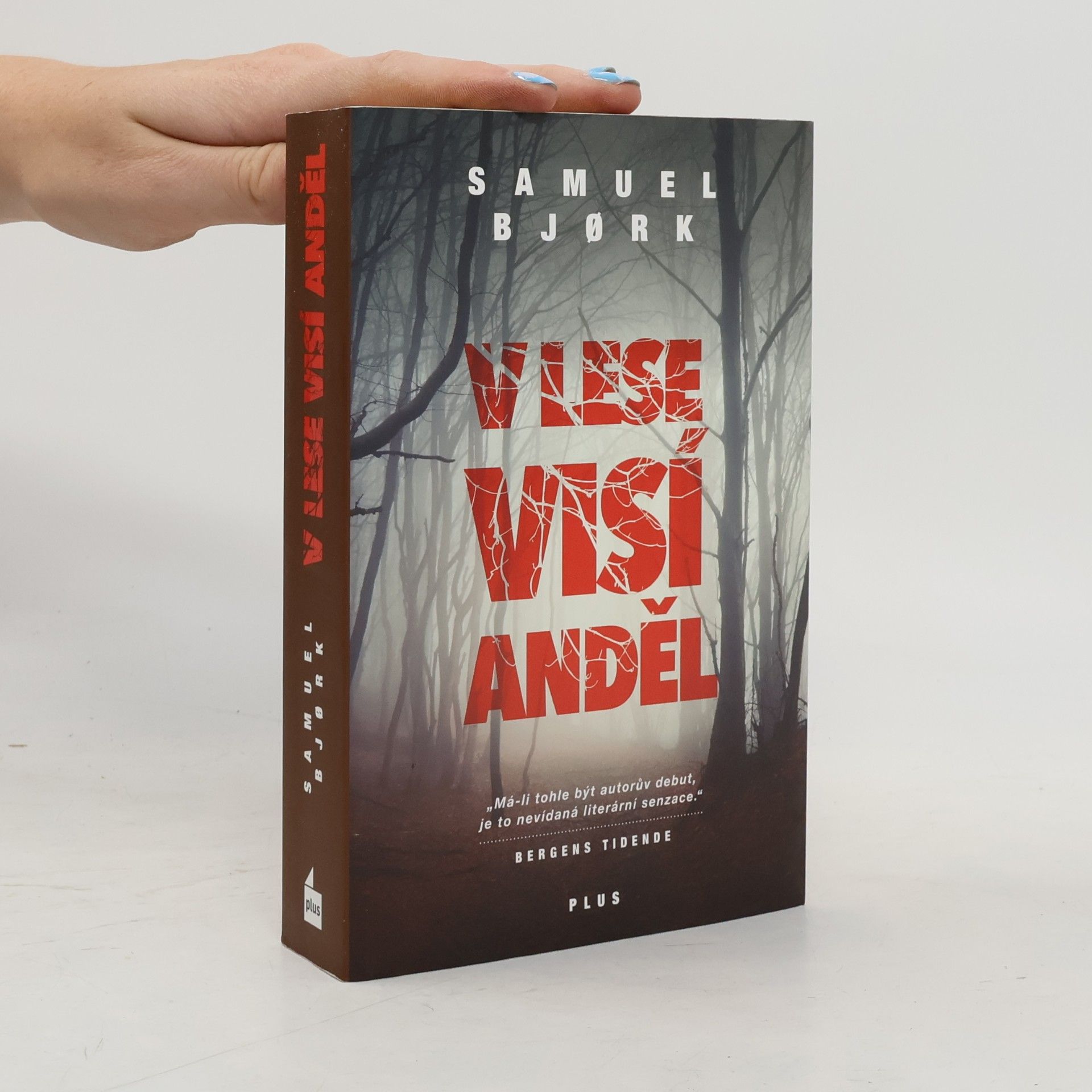 Samuel Bjork V lese visí anděl