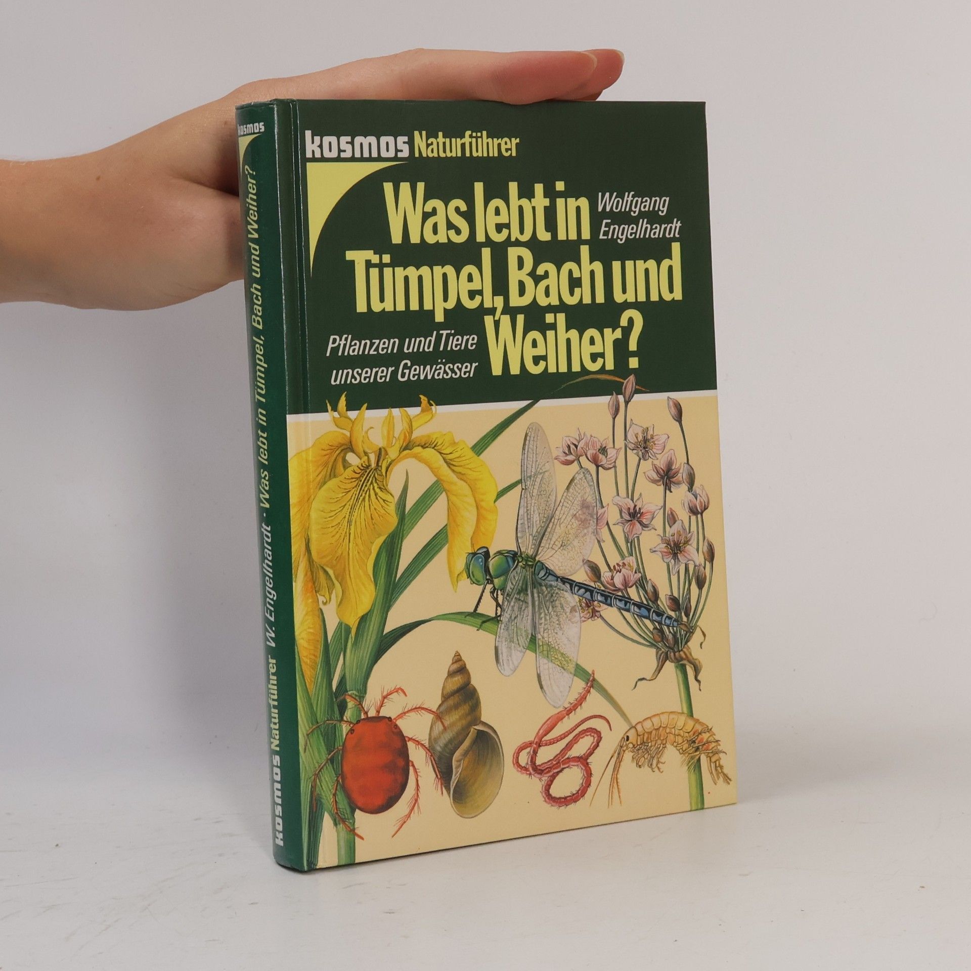 Wolfgang Engelhardt Was lebt in Tümpel, Bach und Weiher? : Pflanzen und Tiere unserer Gewässer