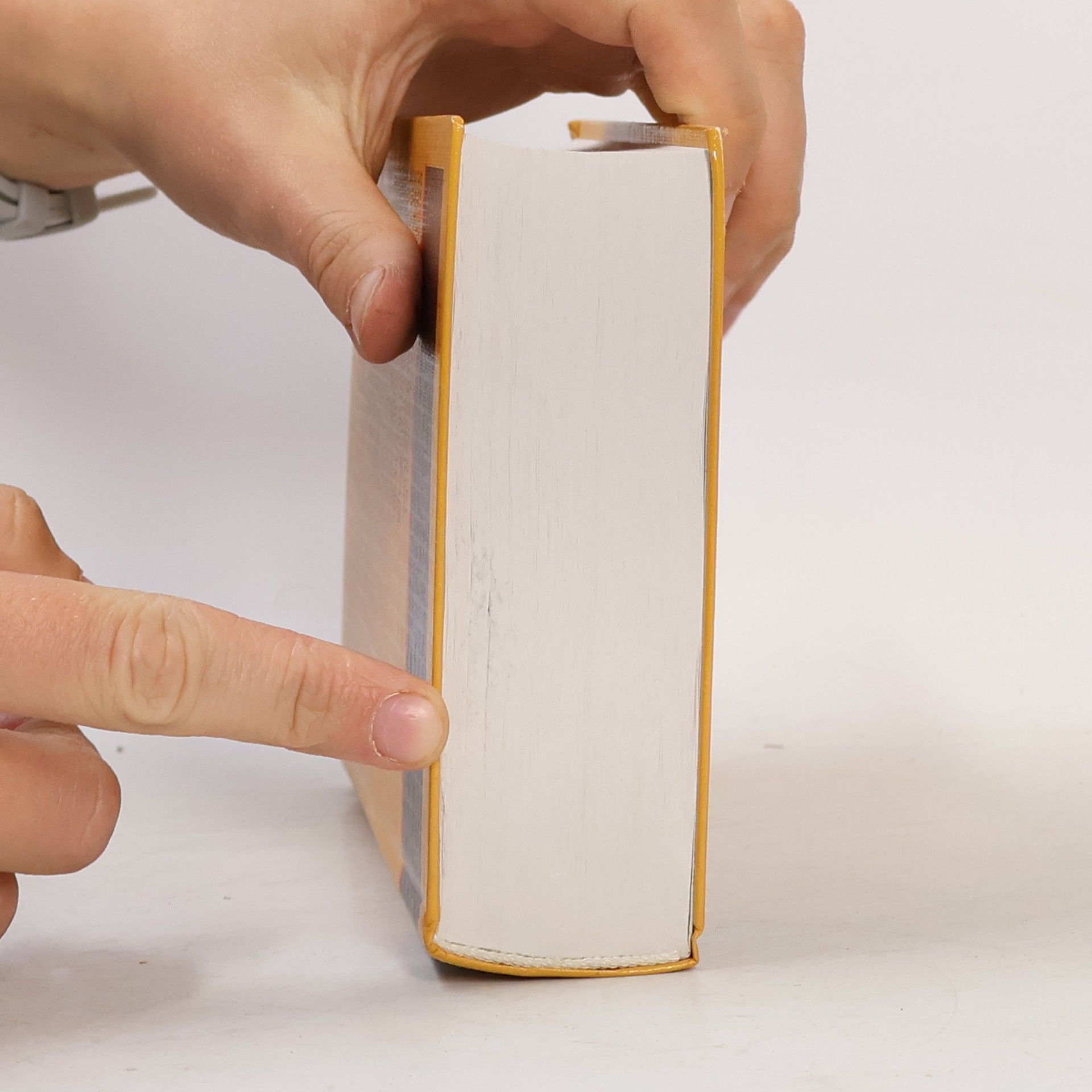 Dudenredaktion (Bibliographisches Institut) Duden 2. Das Stilwörterbuch