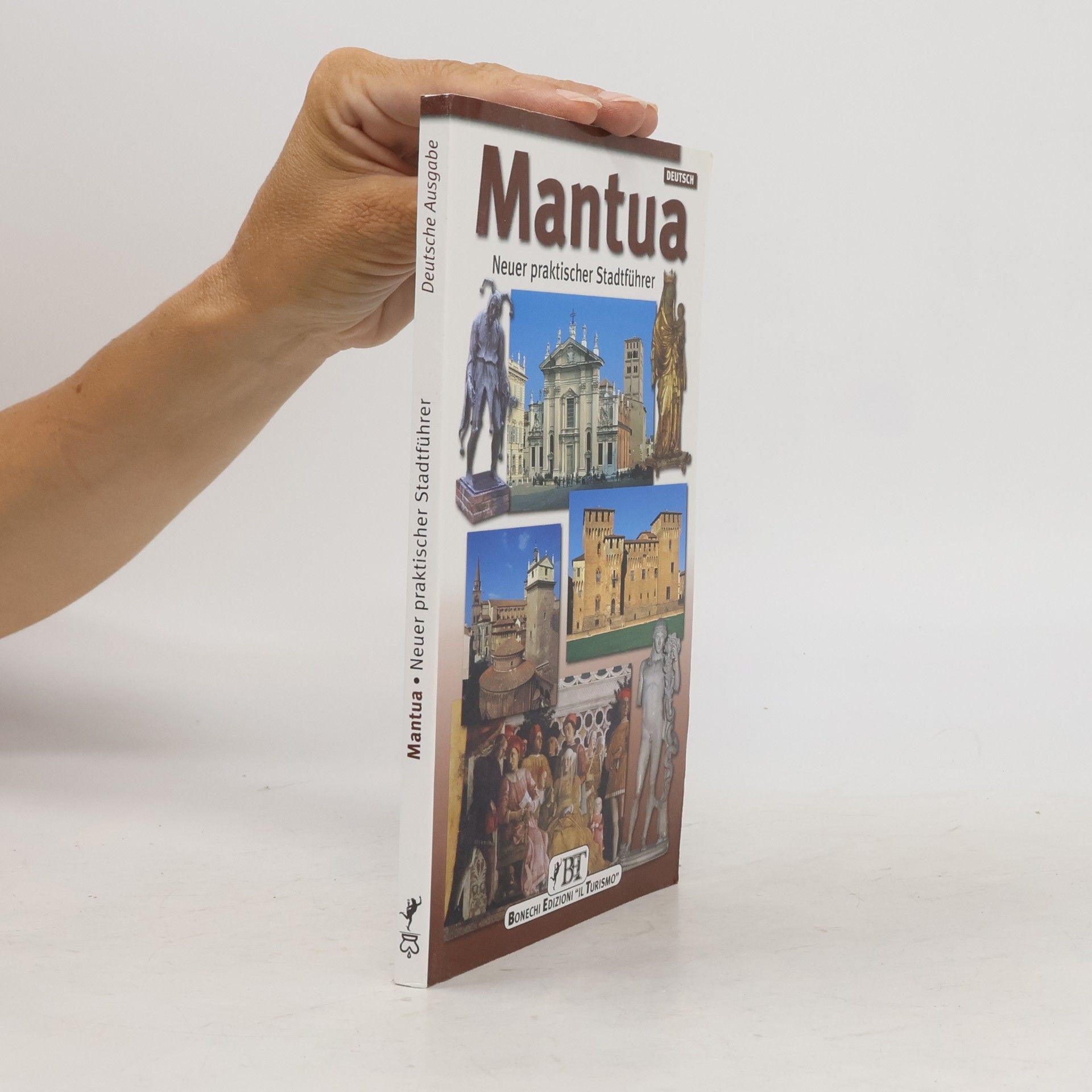 Autorenkollektiv Mantova. Neuer praktischer Stadtführer