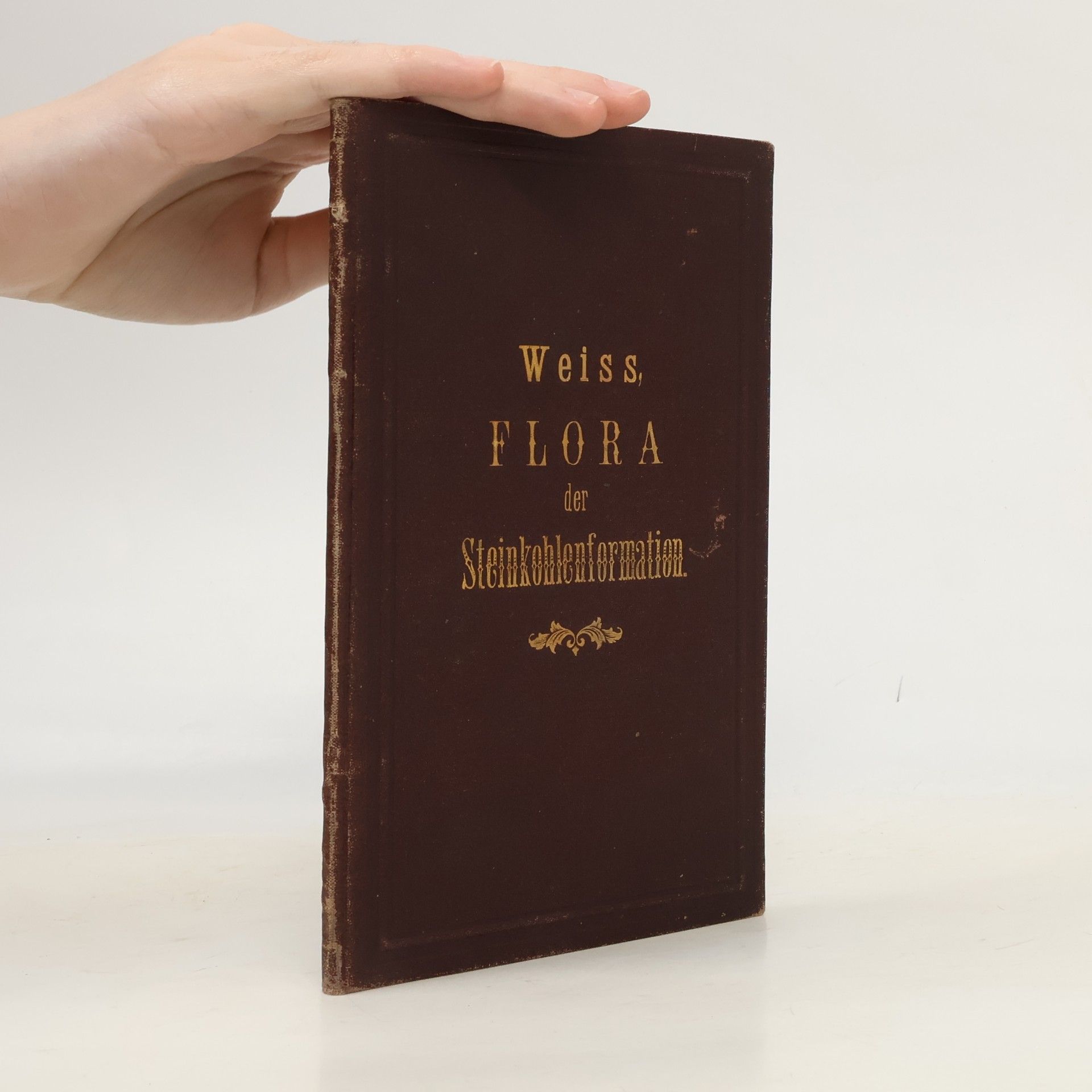 Aus der Flora der Steinkohlenformation