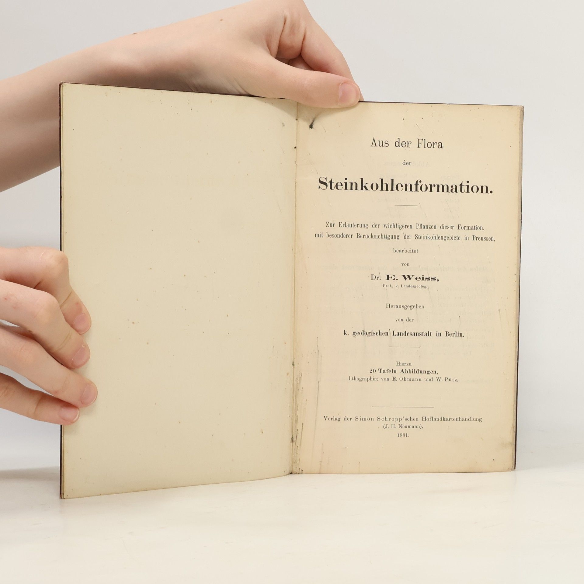 Ernst Weiss Aus der Flora der Steinkohlenformation