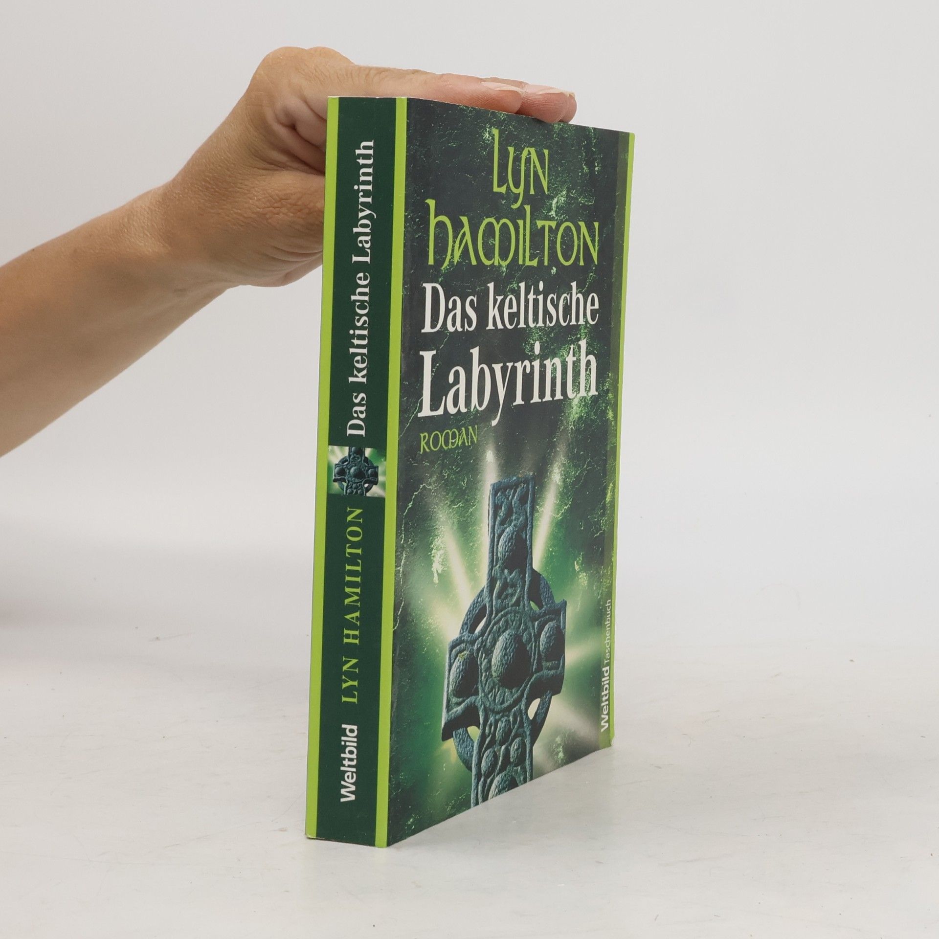 Lyn Hamilton Das keltische Labyrinth