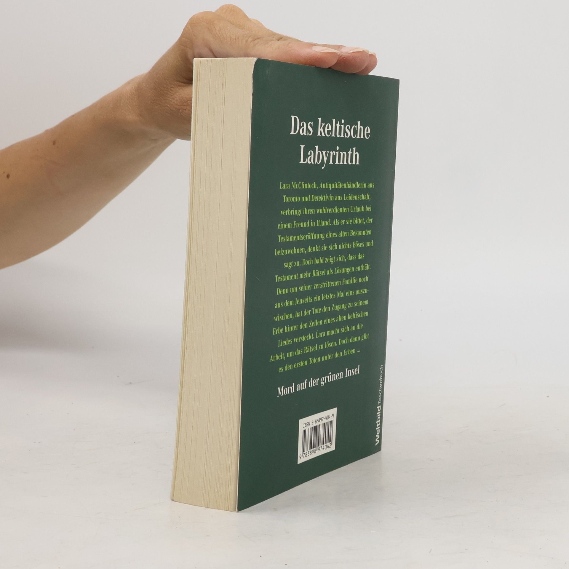 Lyn Hamilton Das keltische Labyrinth