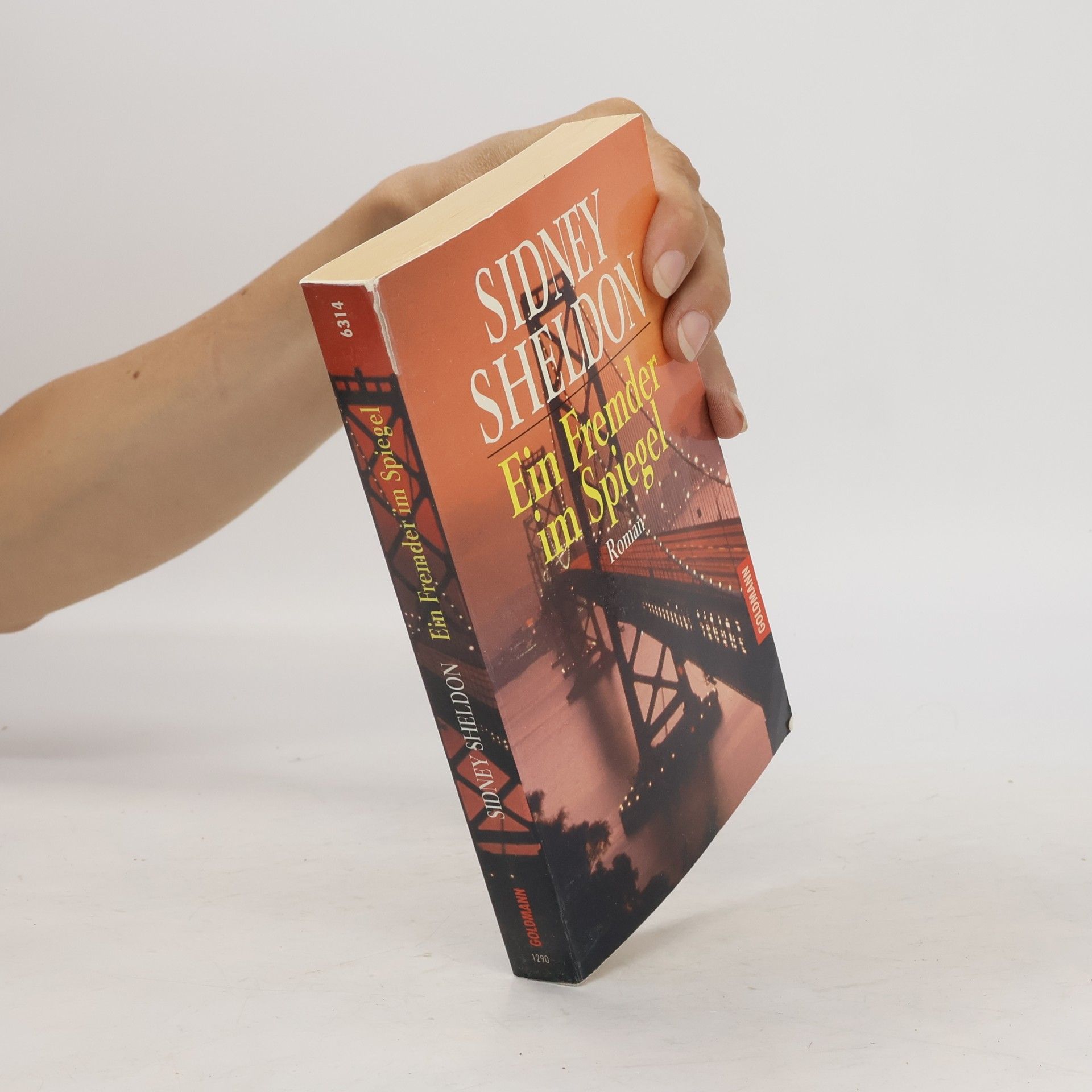 Sidney Sheldon Ein Fremder im Spiegel