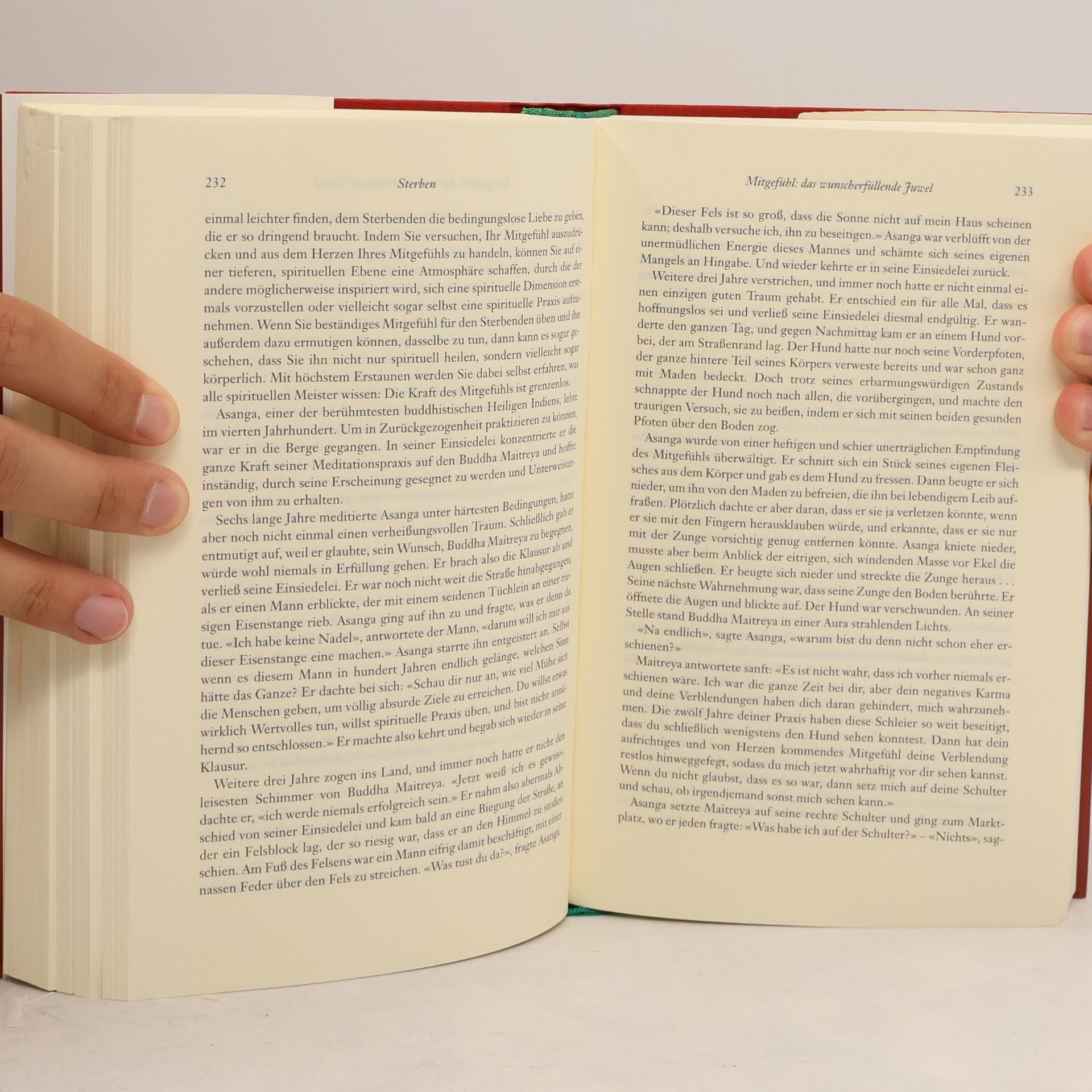 Sogyal Rinpoche Das tibetische Buch vom Leben und vom Sterben