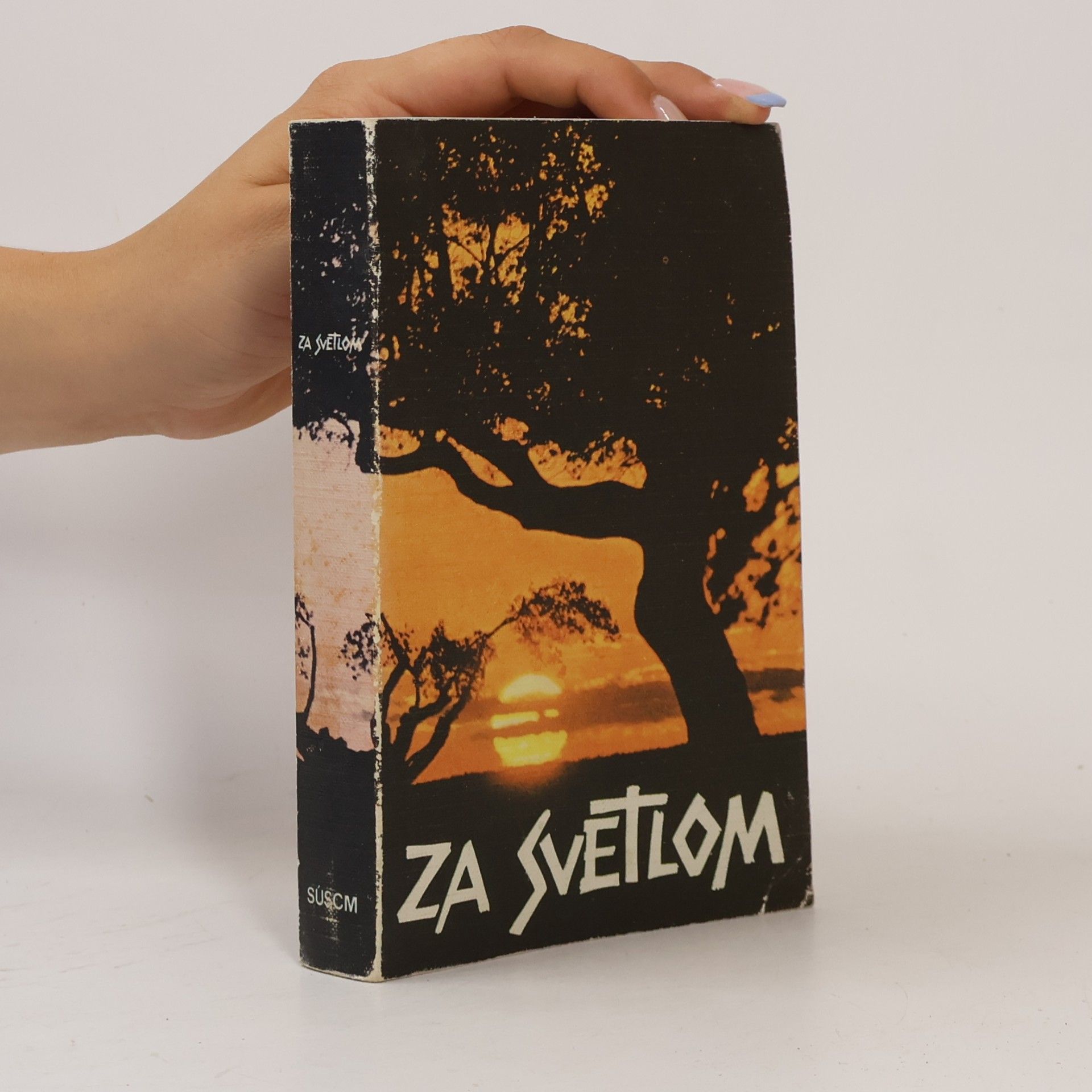 Anton Botek Za svetlom. Dejiny spásy v Starom zákone