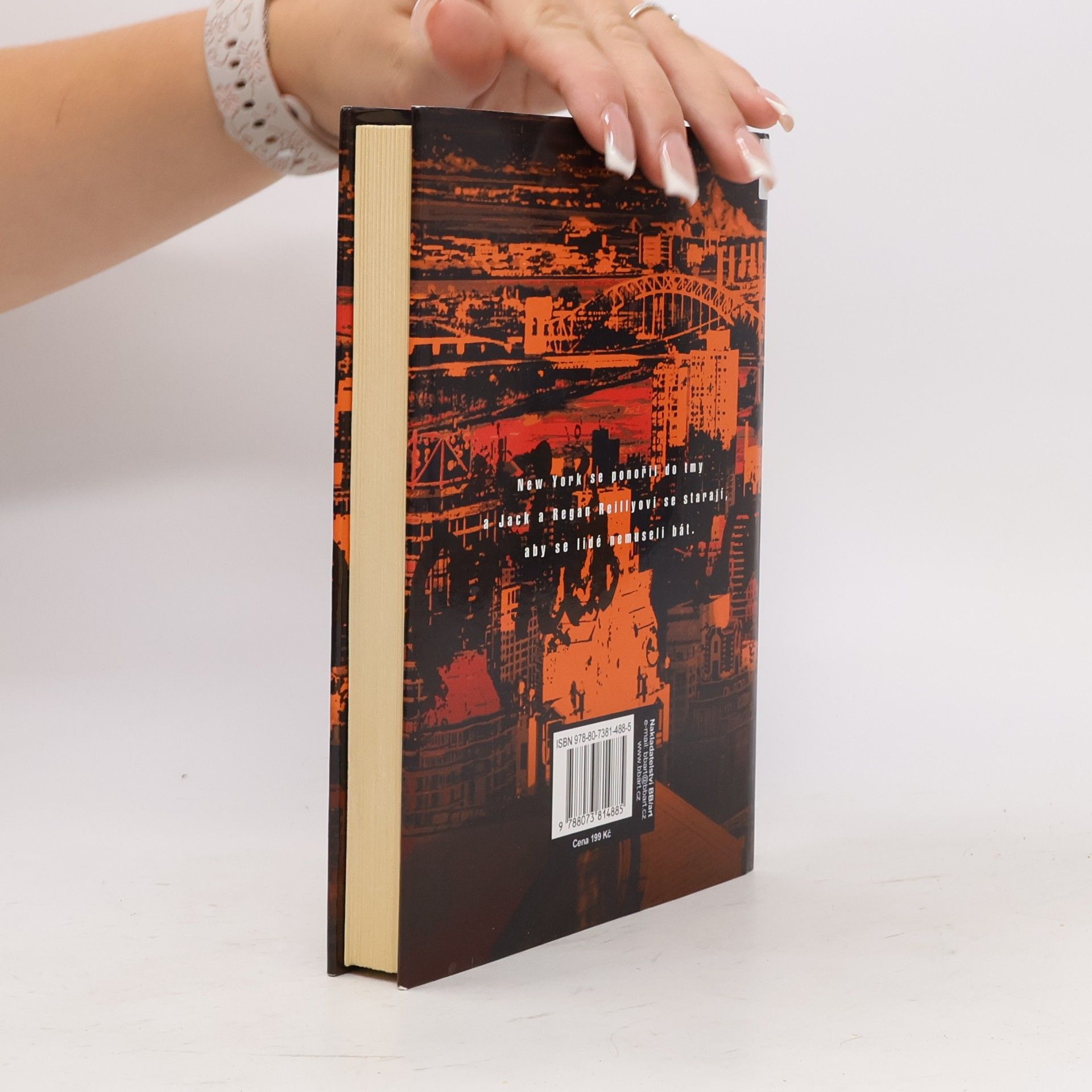Carol Higgins Clark Horká noc