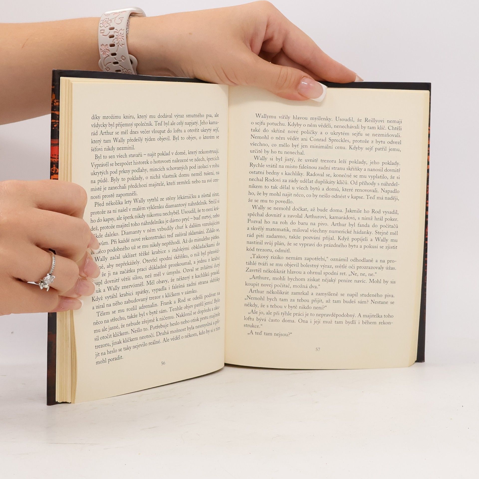 Carol Higgins Clark Horká noc