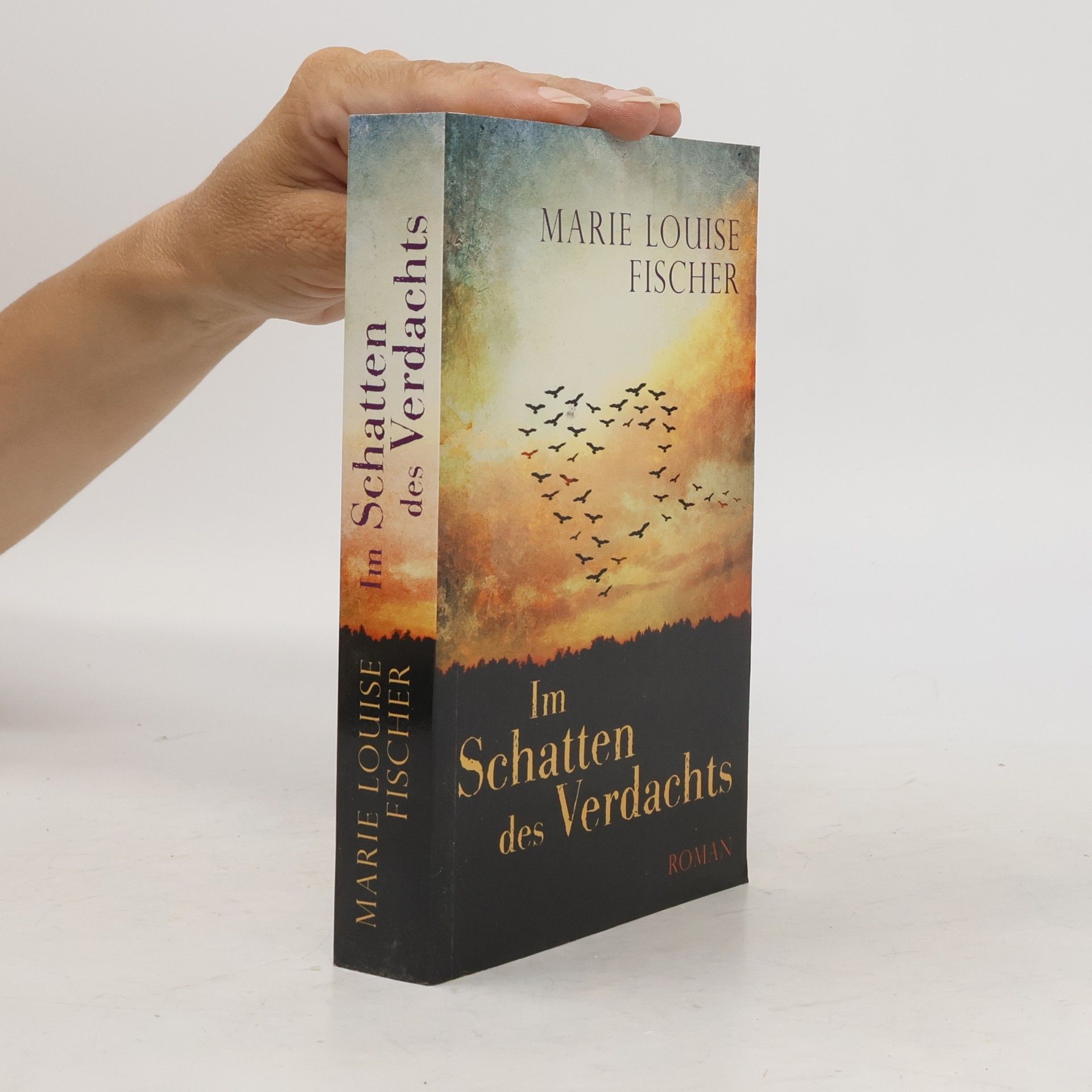 Marie Louise Fischer Im Schatten des Verdachts