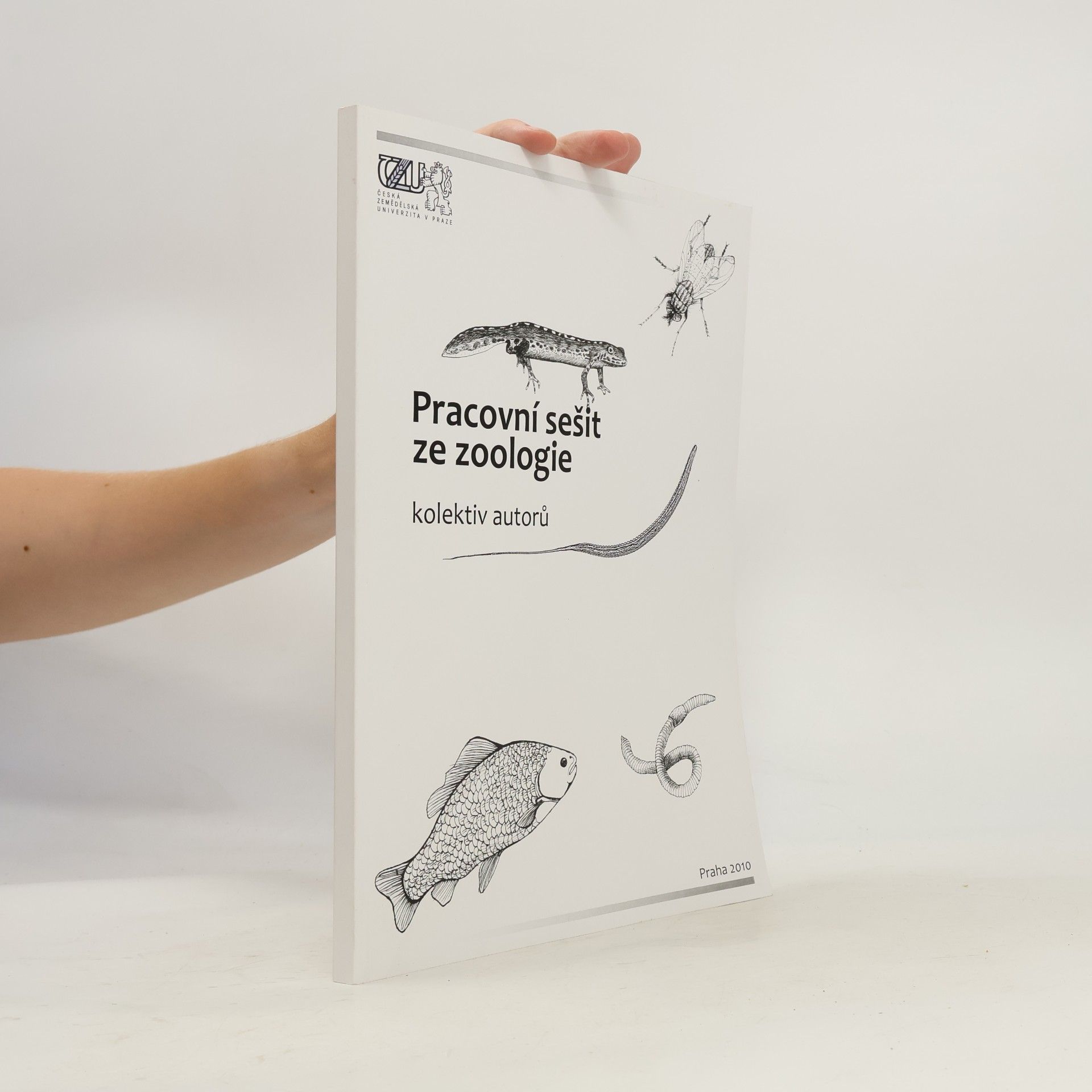 Auteurscollectief Pracovní sešit ze zoologie
