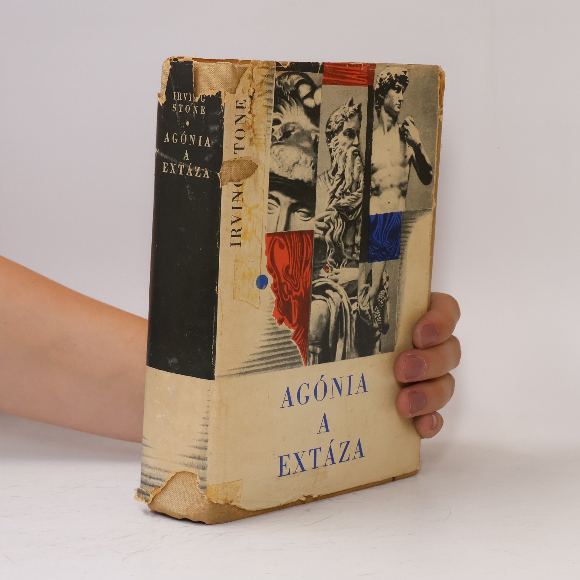 Irving Stone Agónia a extáza