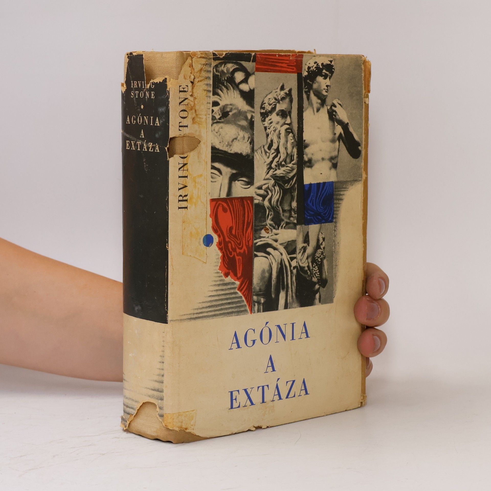 Irving Stone Agónia a extáza