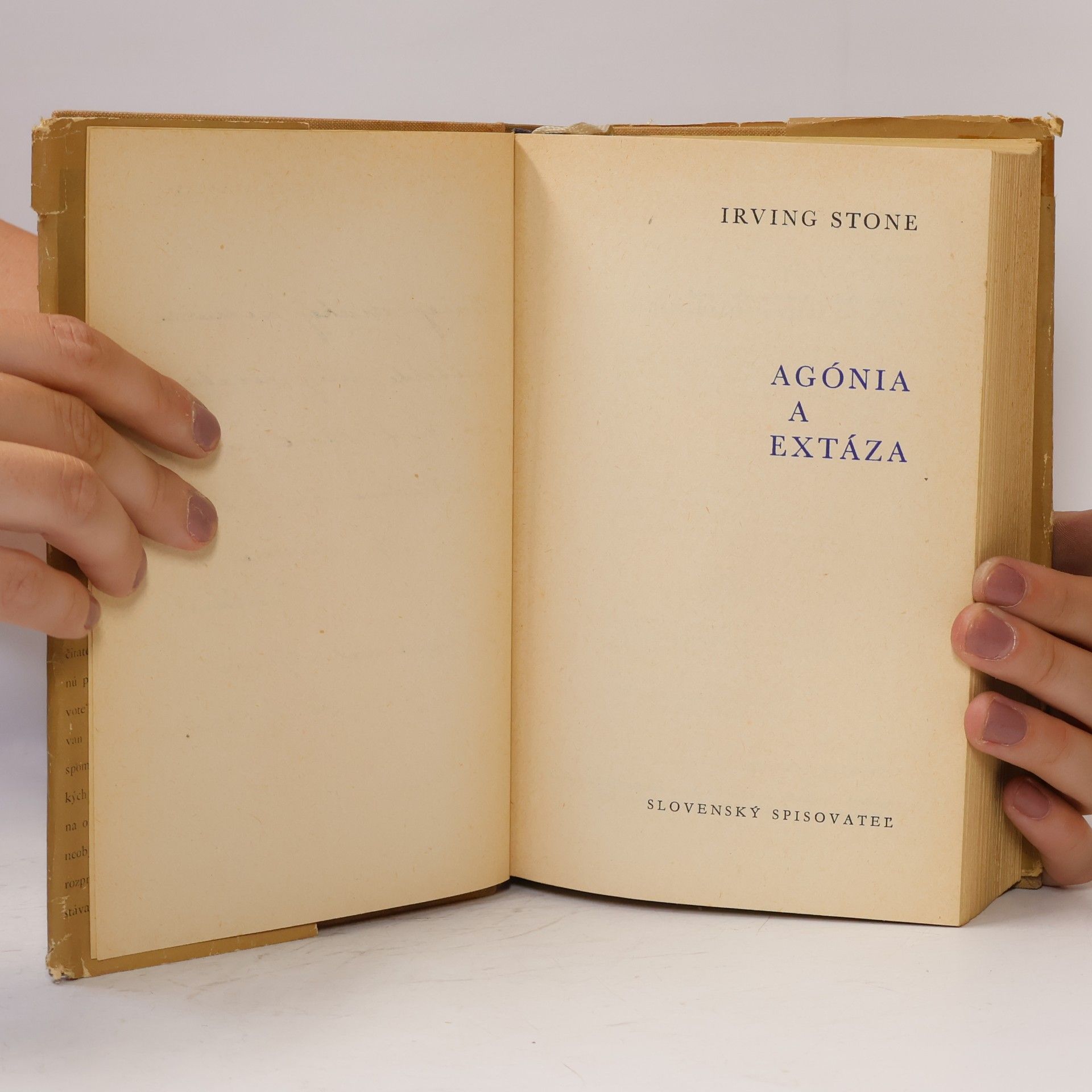 Irving Stone Agónia a extáza