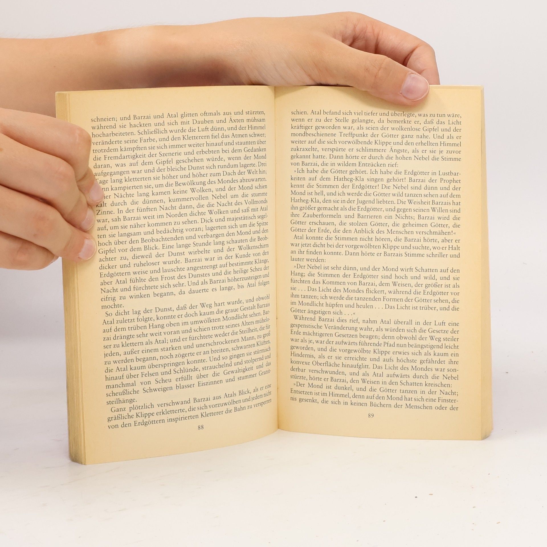 Peter Handke Das Ende des Flanierens