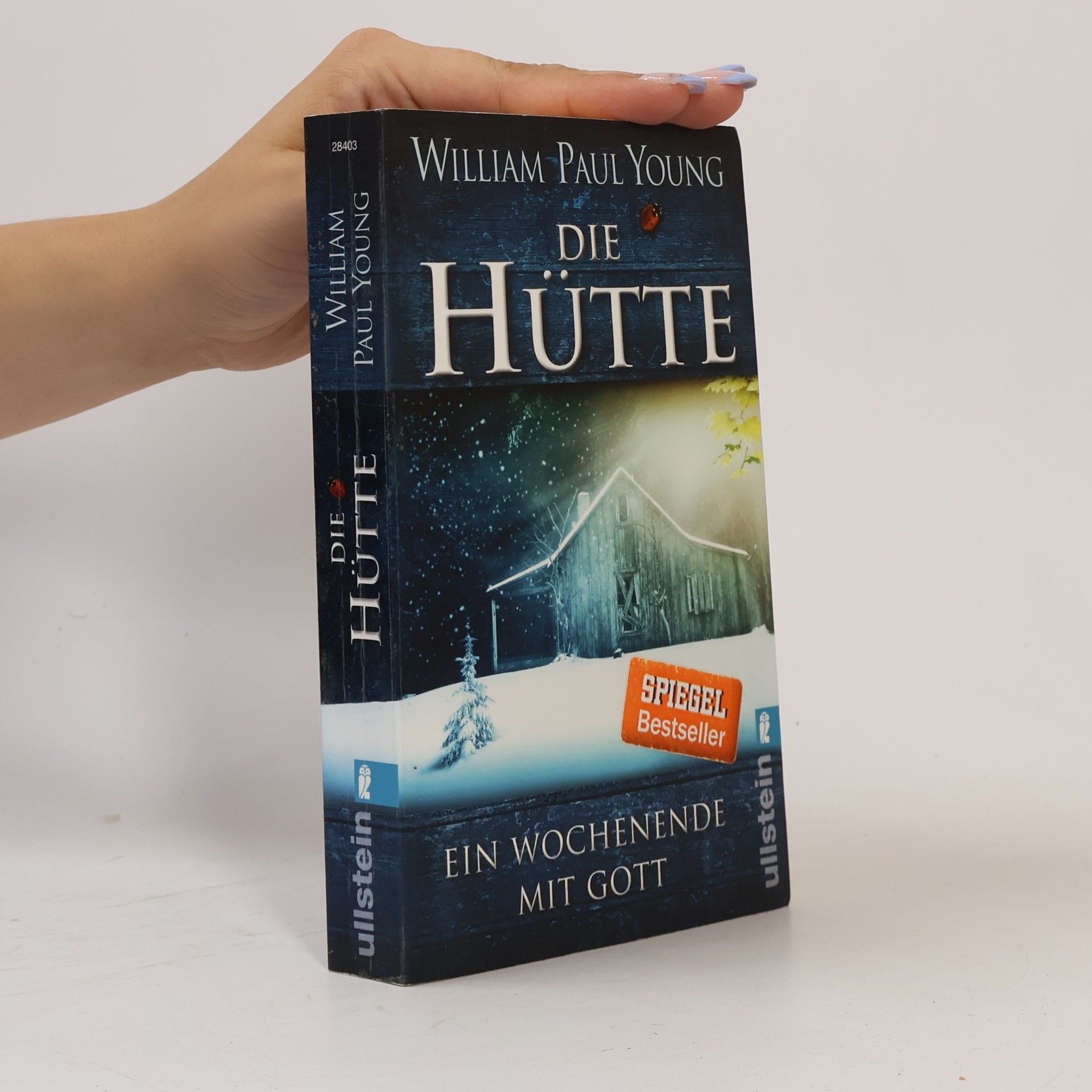 William P. Young Die Hütte