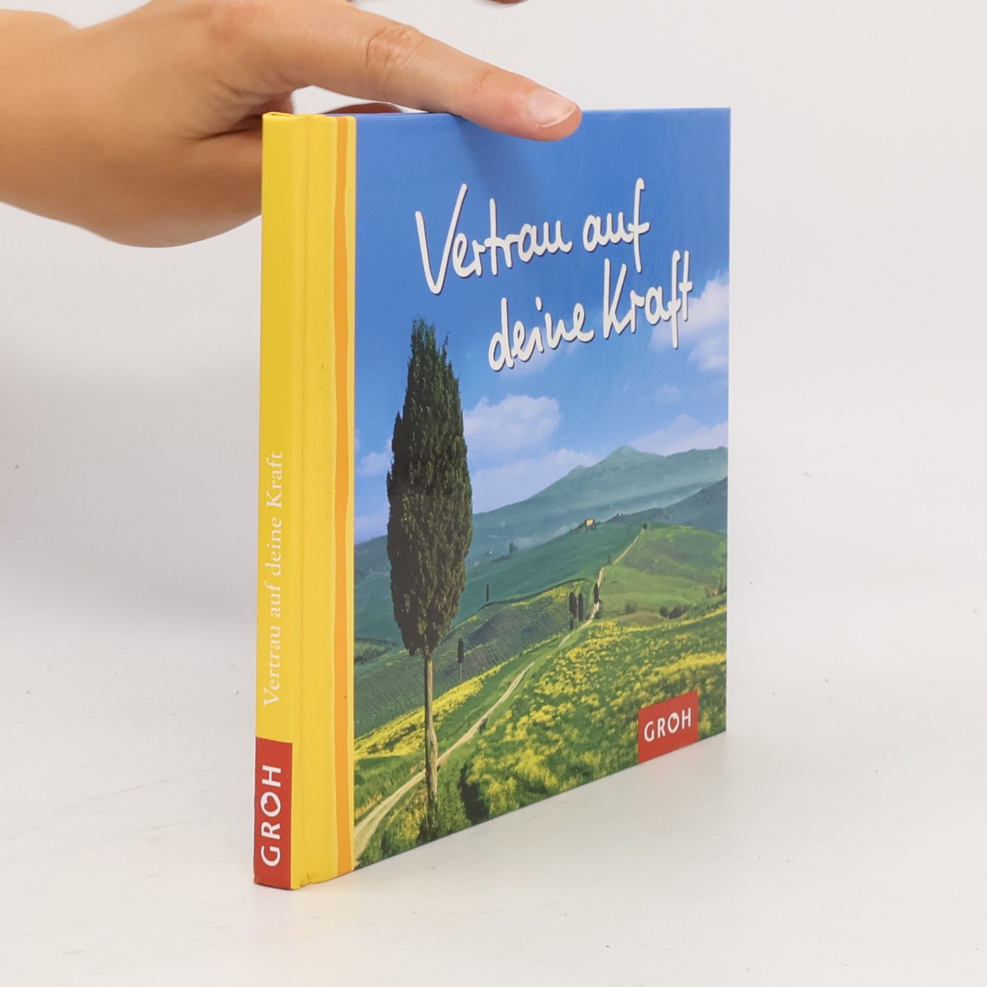 Ashley Lippert Vertrau auf deine Kraft