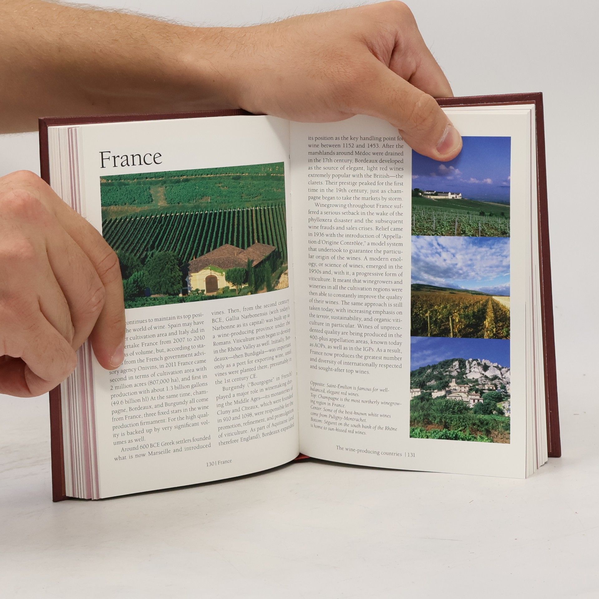 André Dominé A Wine Lover's Guide