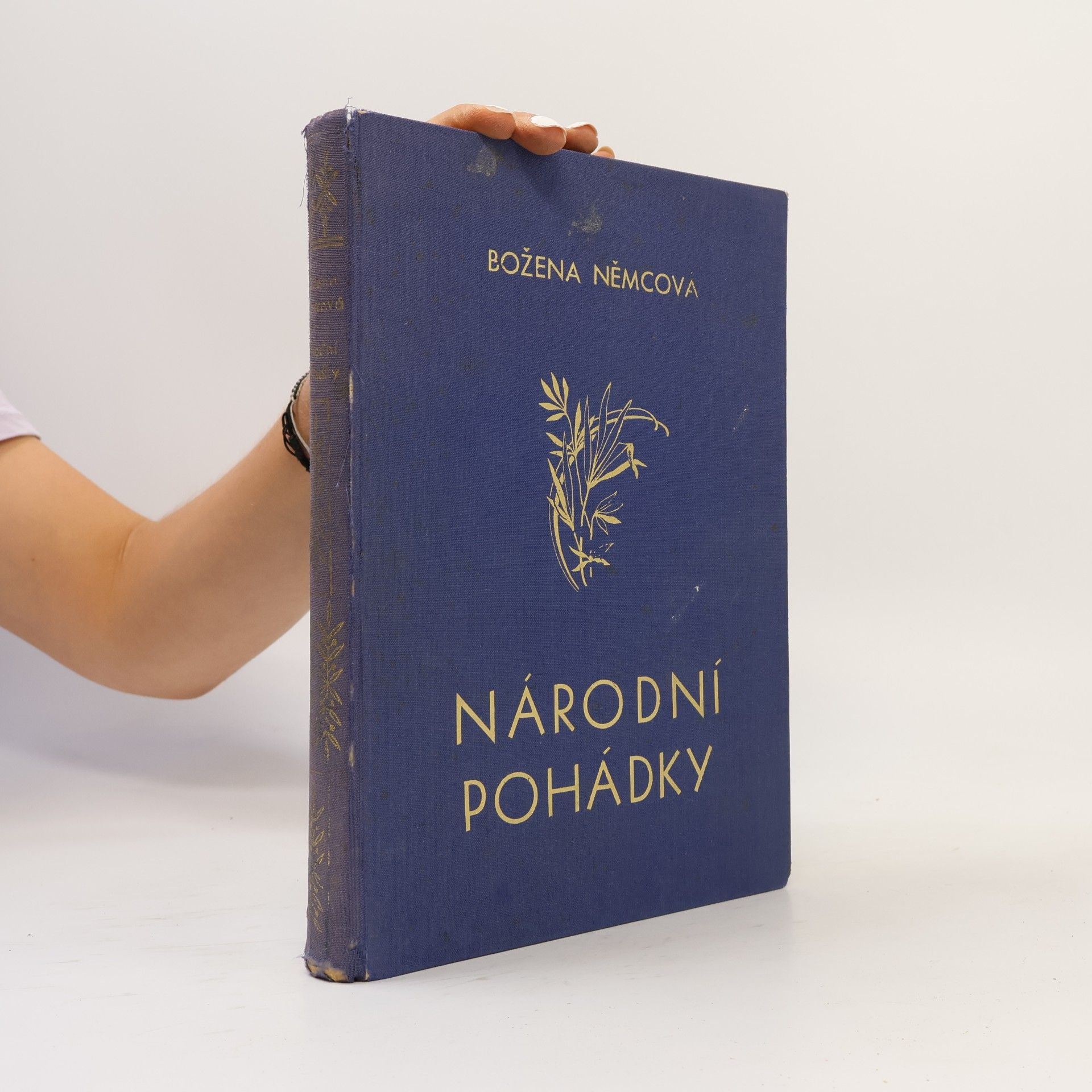 Božena Němcová Národní pohádky