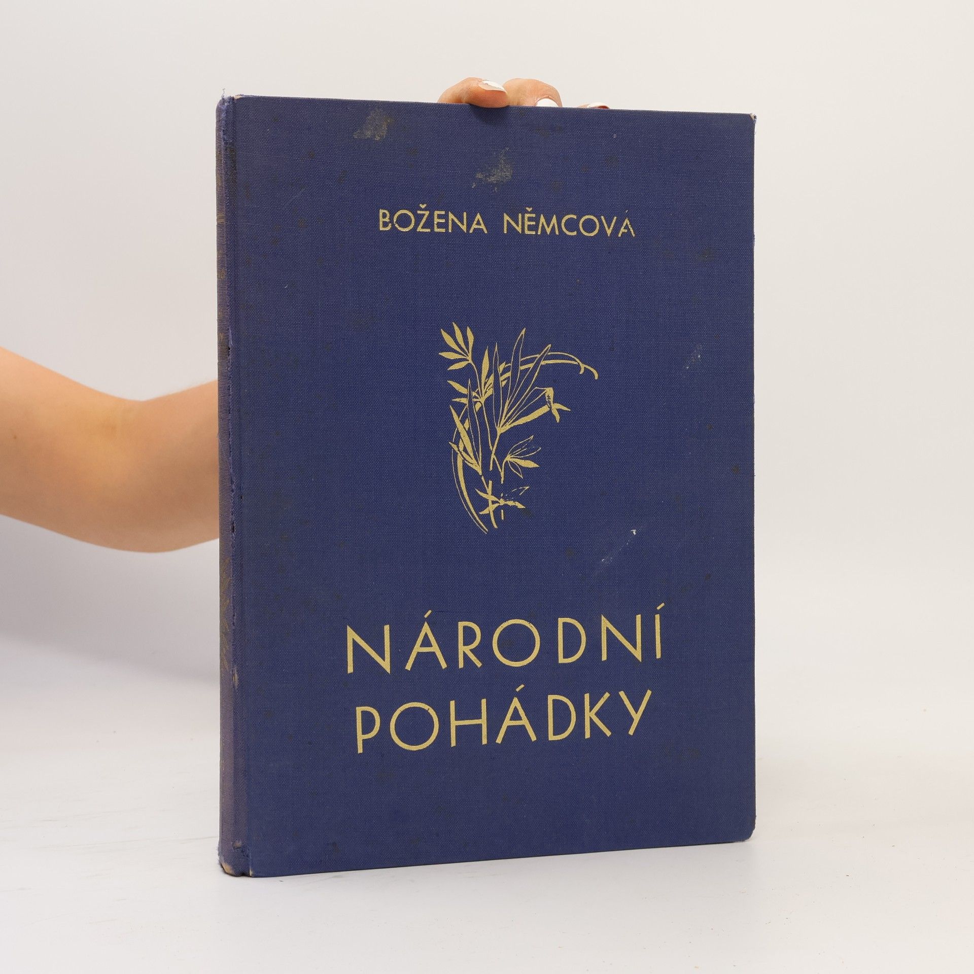 Božena Němcová Národní pohádky