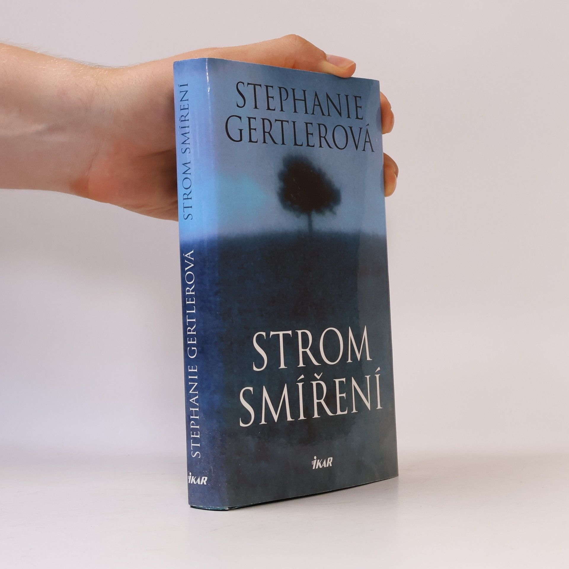 Stephanie Gertler Strom smíření