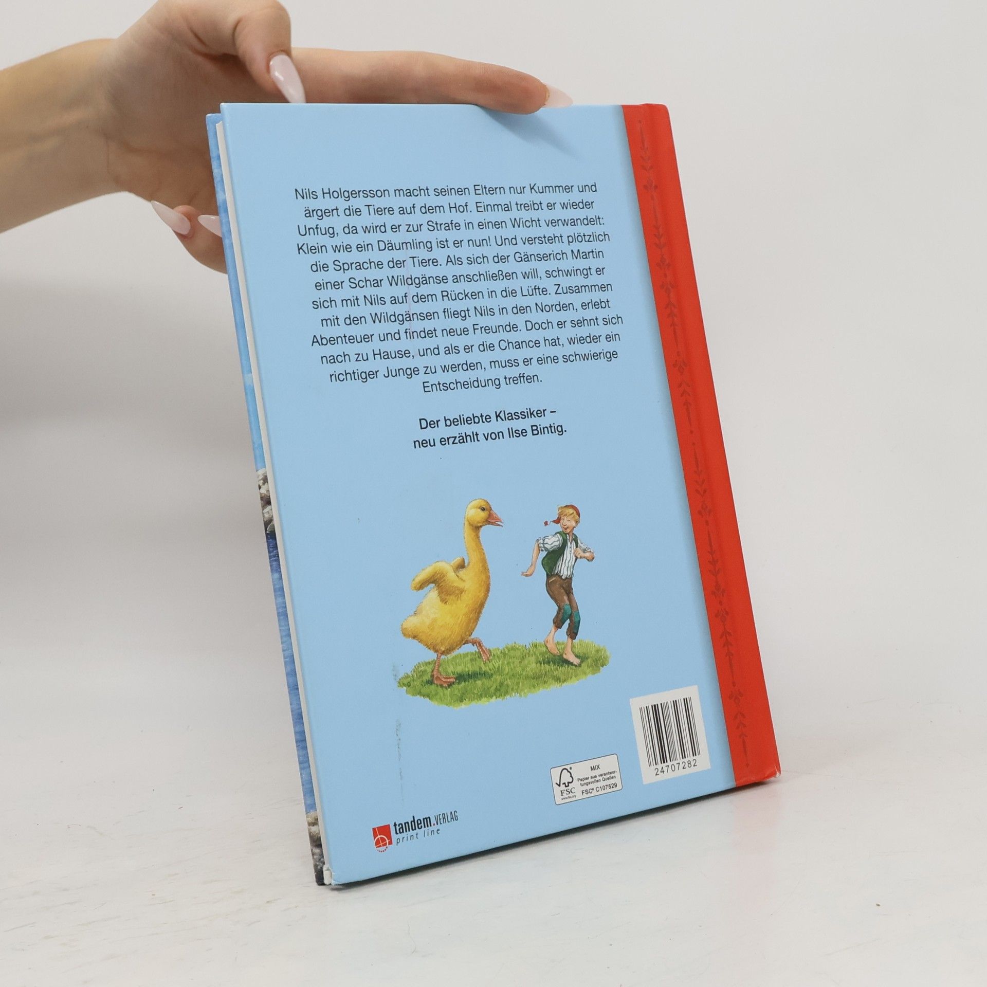 Selma Lagerlöf Nils Holgerssons wunderbare Reise