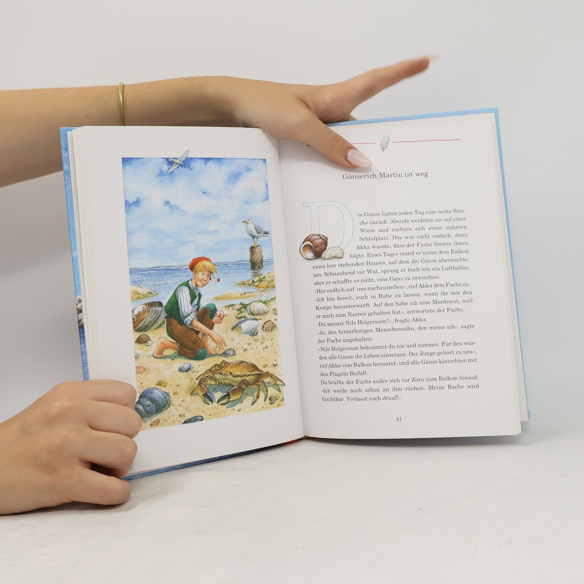 Selma Lagerlöf Nils Holgerssons wunderbare Reise